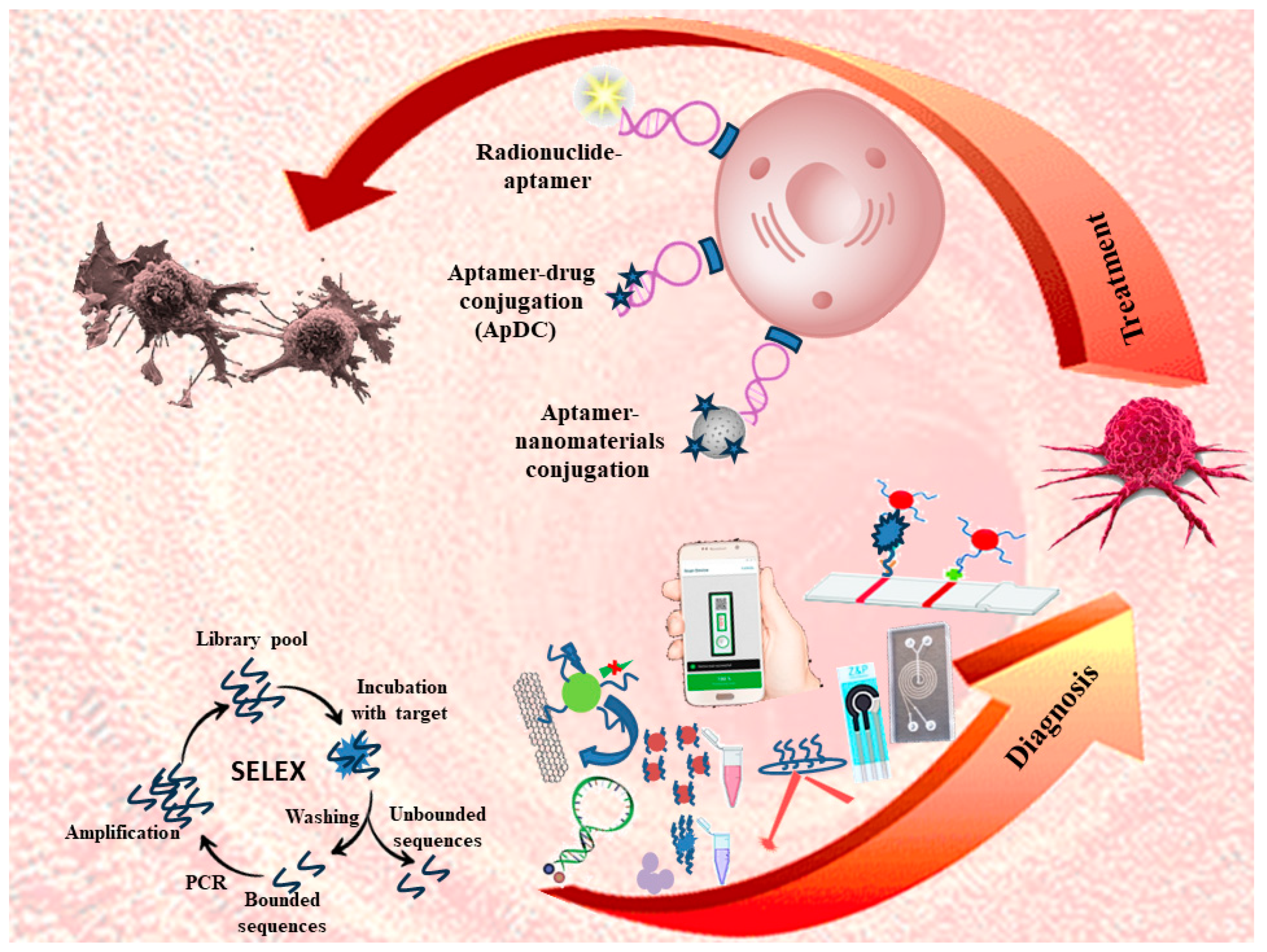 Preprints 93950 sch001