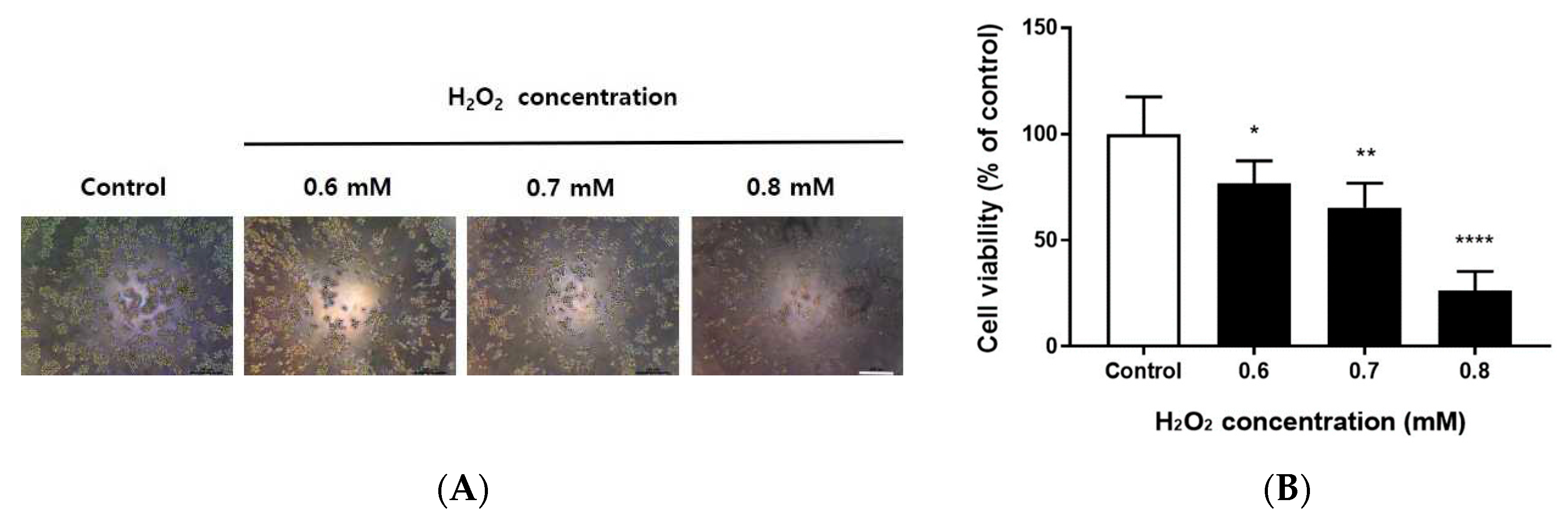 Preprints 78506 g001