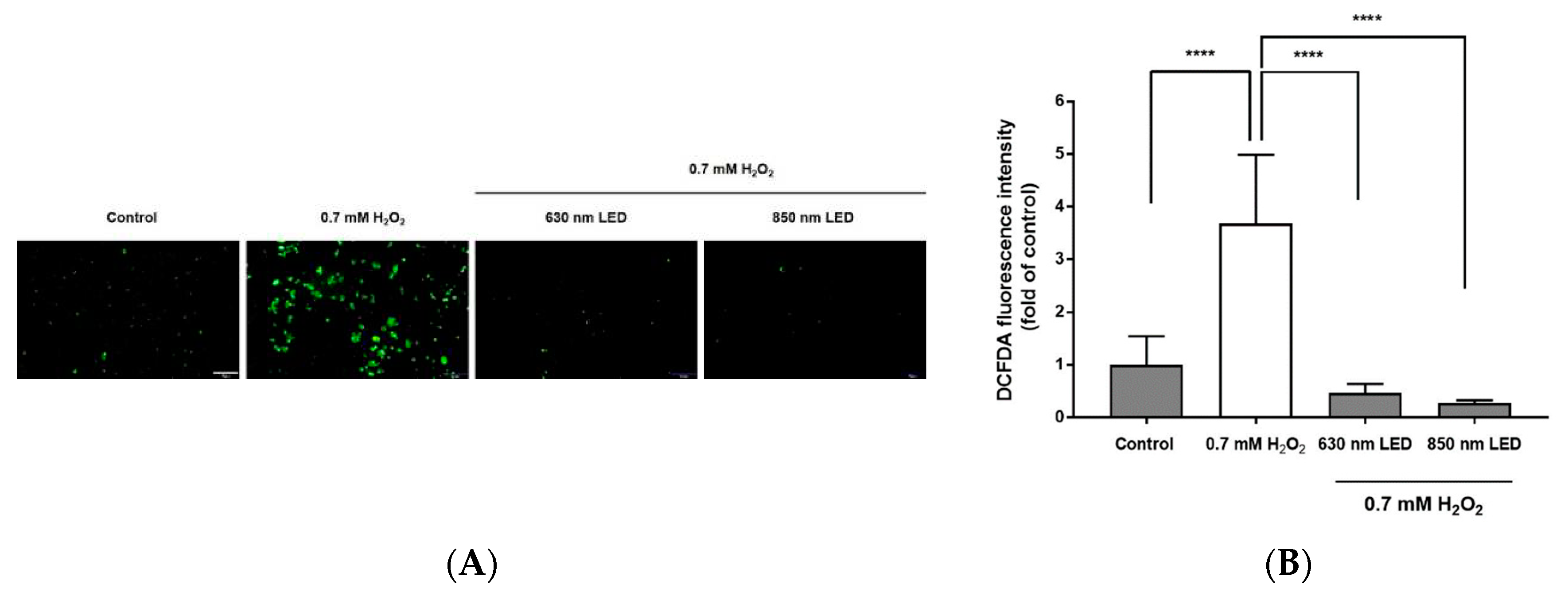 Preprints 78506 g004