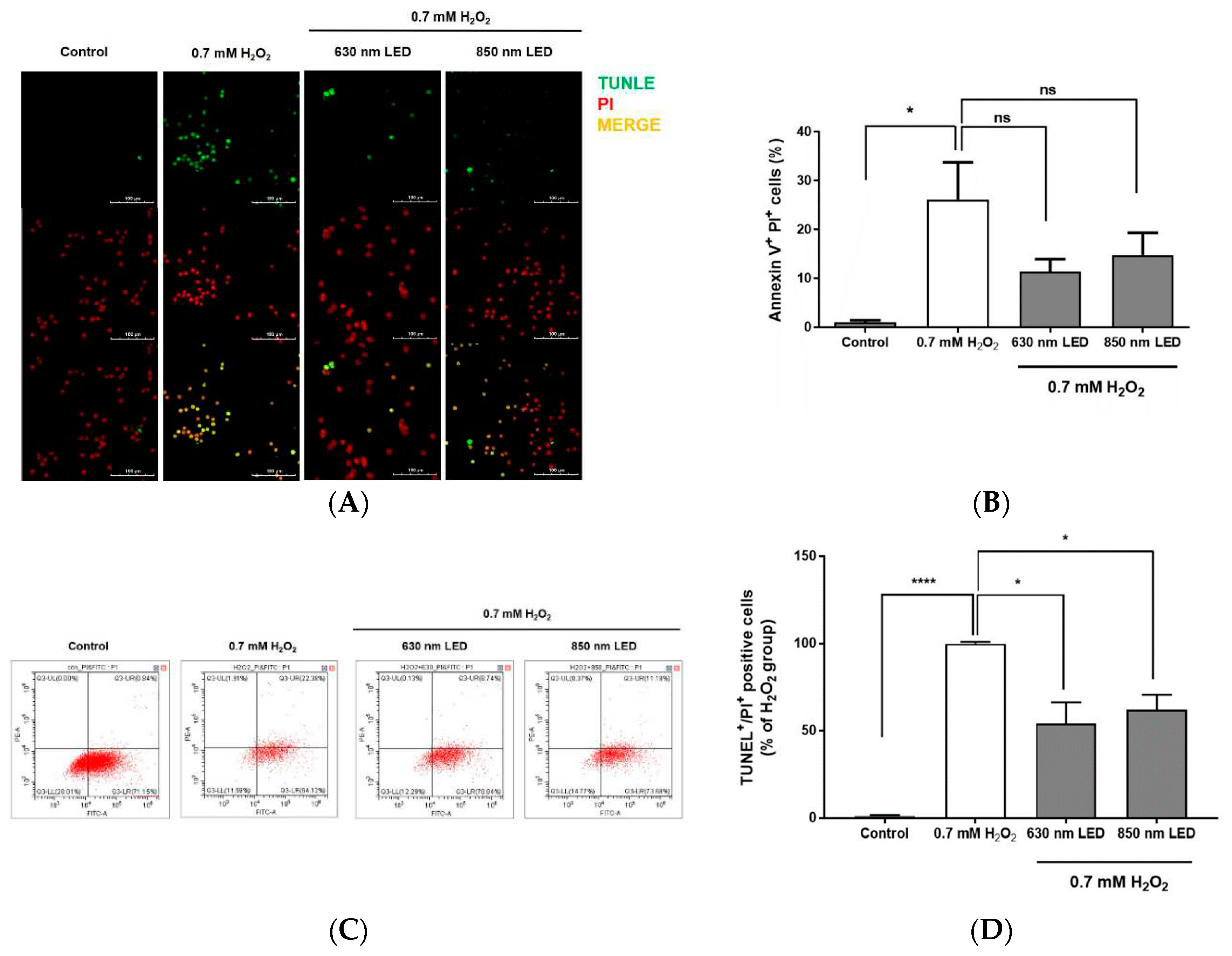 Preprints 78506 g005