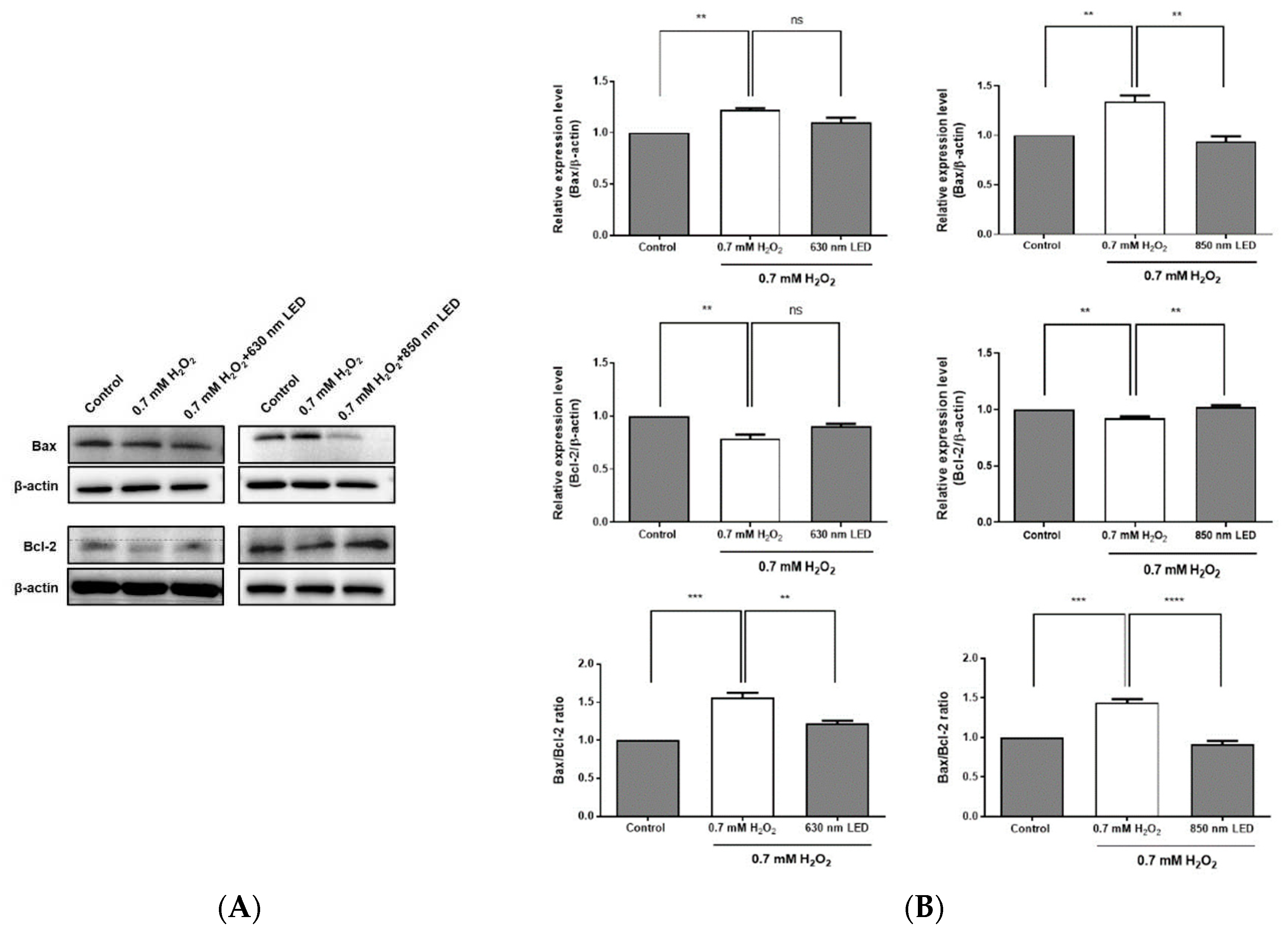 Preprints 78506 g006a