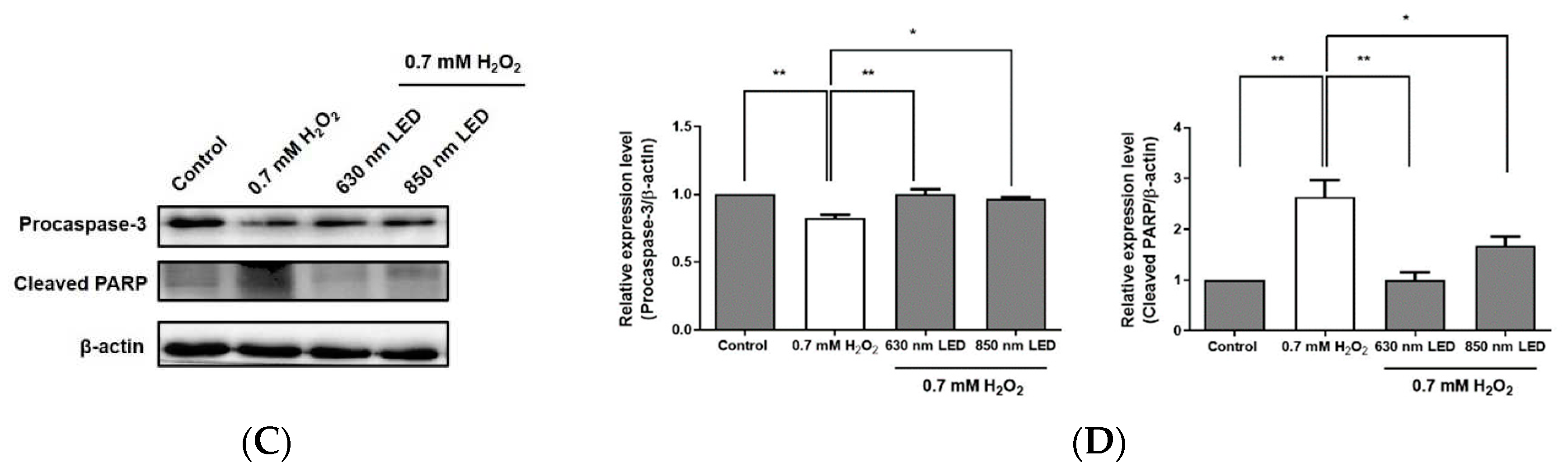 Preprints 78506 g006b