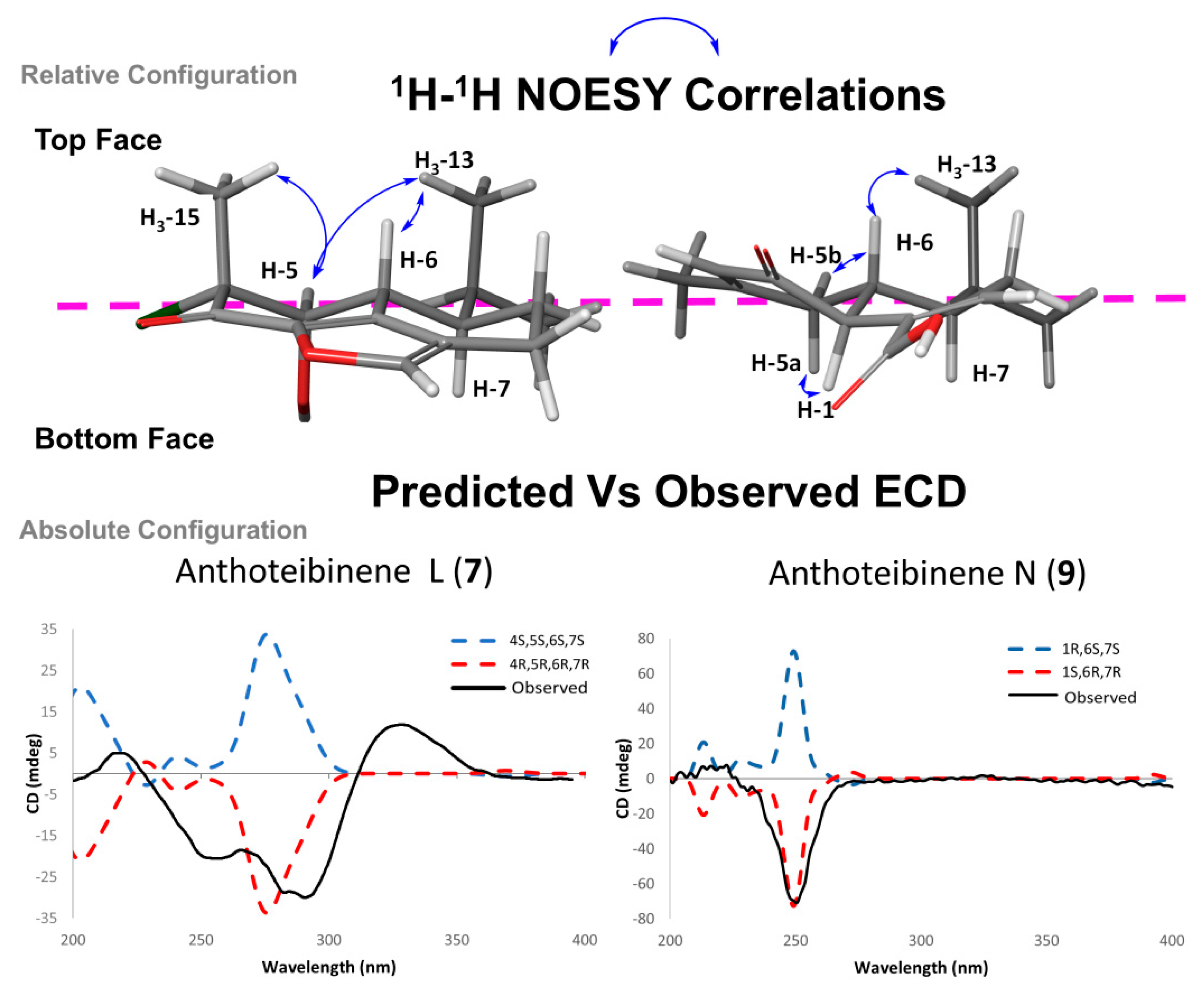 Preprints 142046 g006