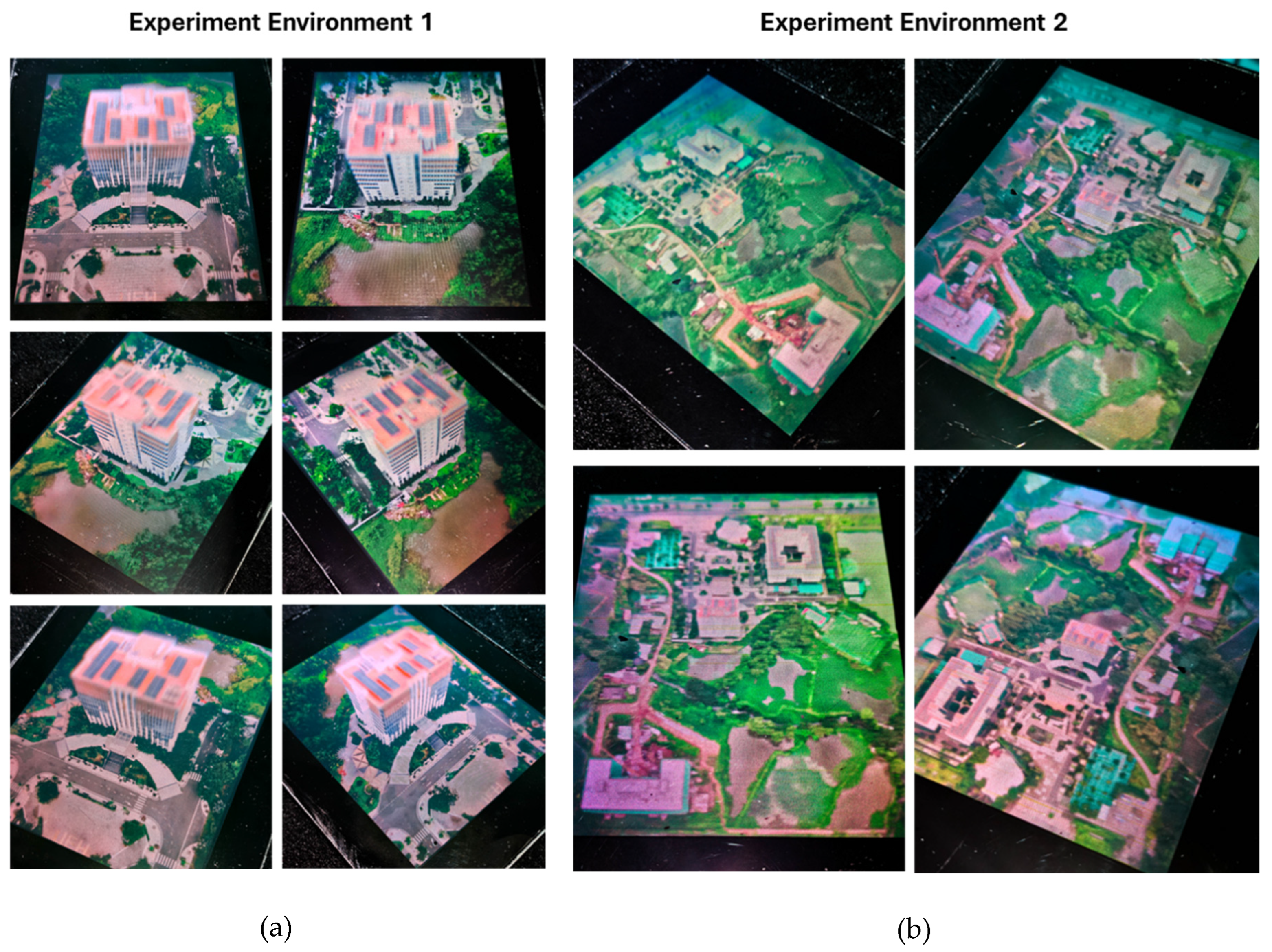 Preprints 121343 g015