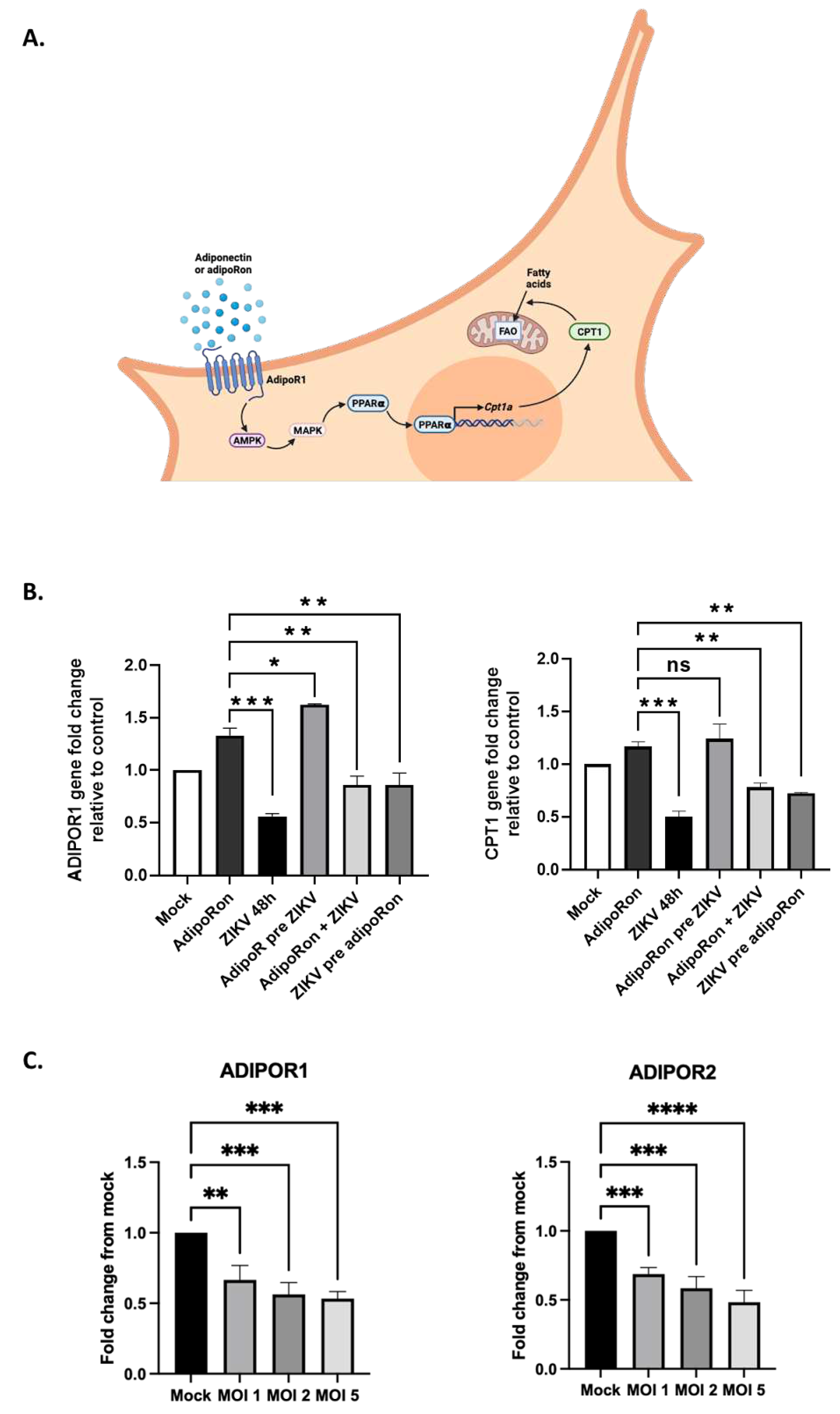 Preprints 90032 g005