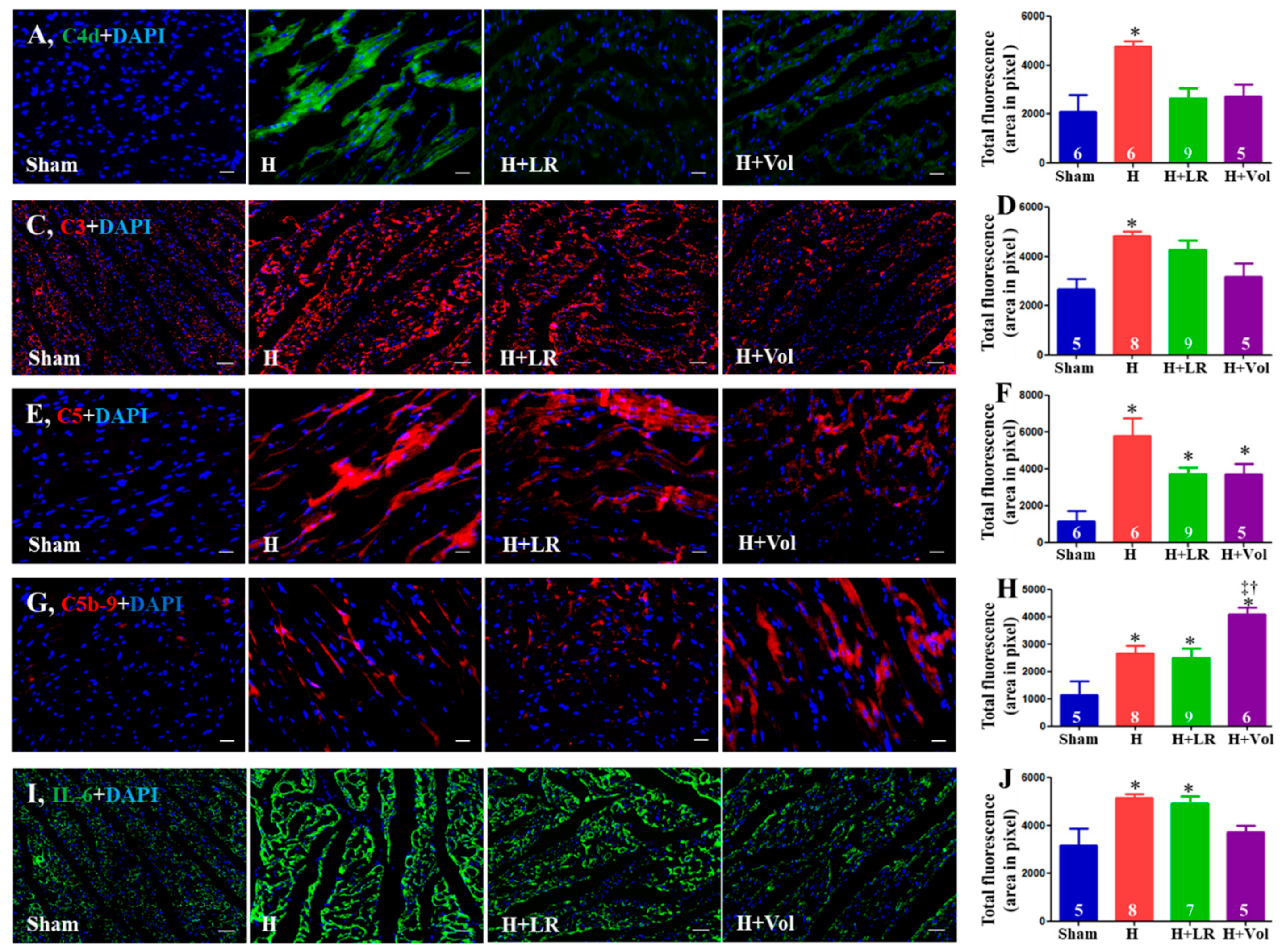 Preprints 93618 g004