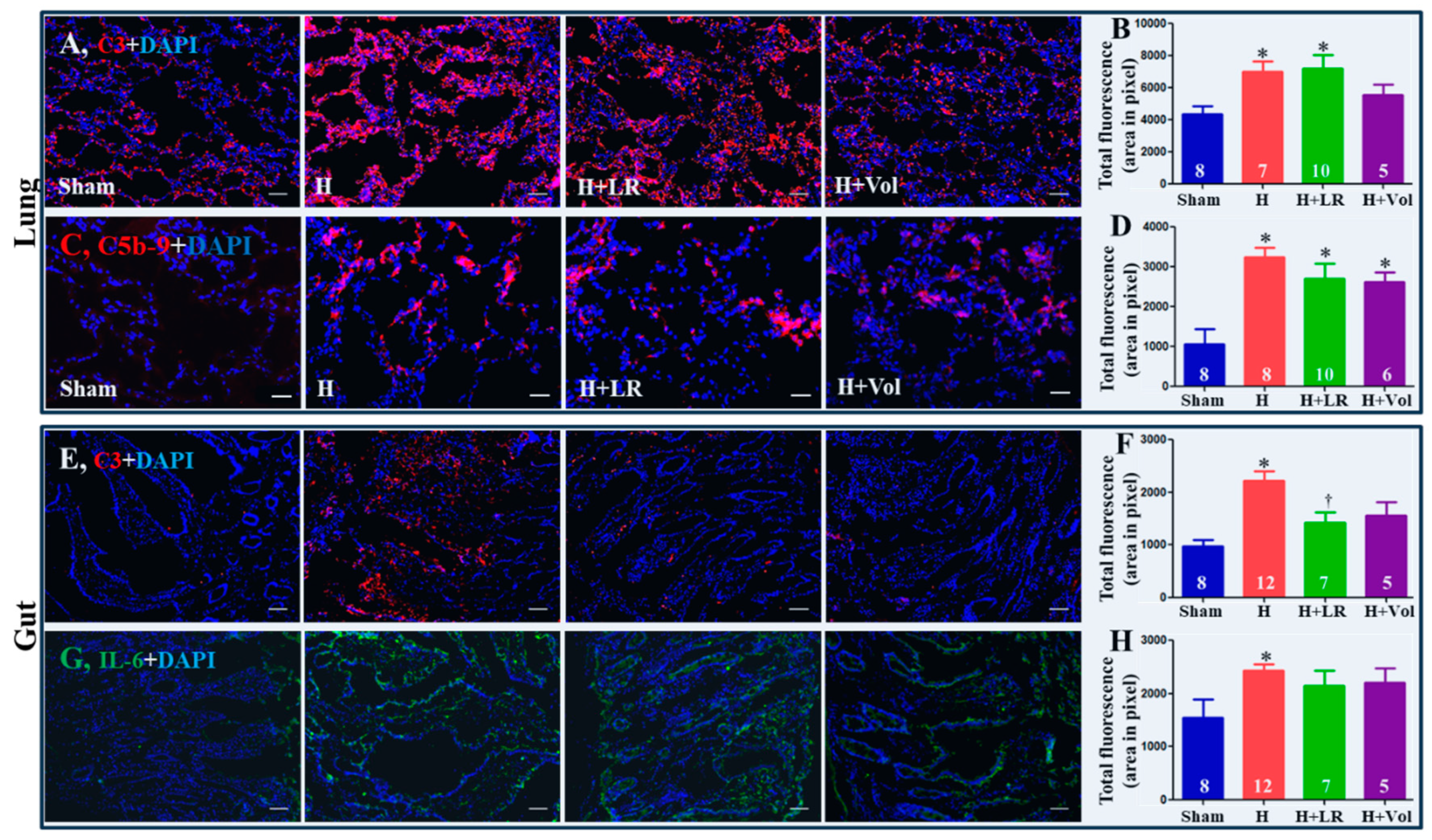 Preprints 93618 g005