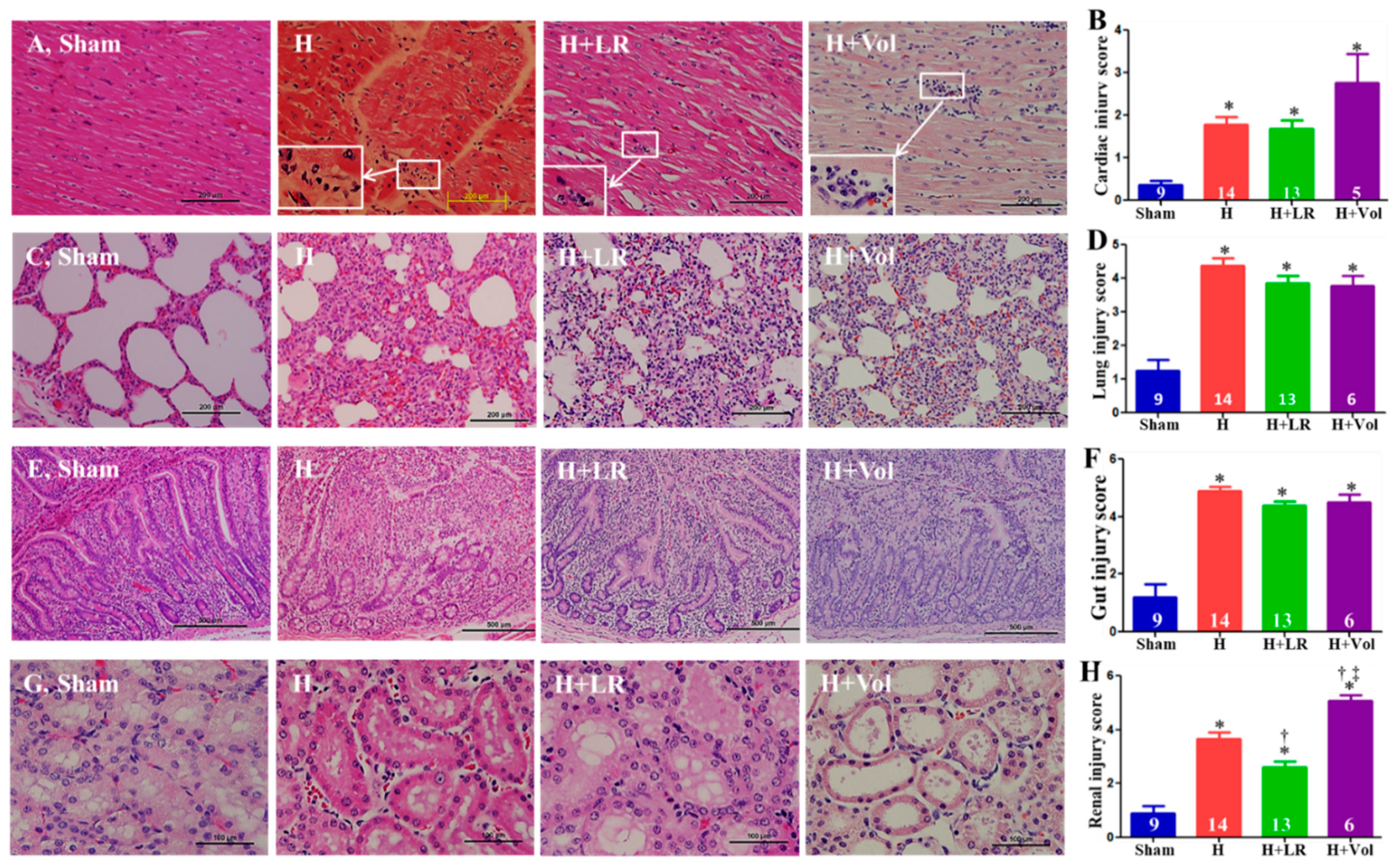 Preprints 93618 g006