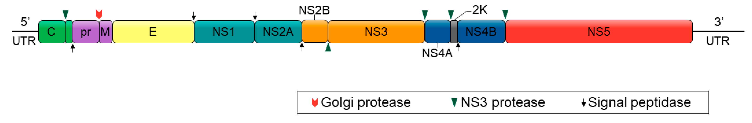 Preprints 115450 g002