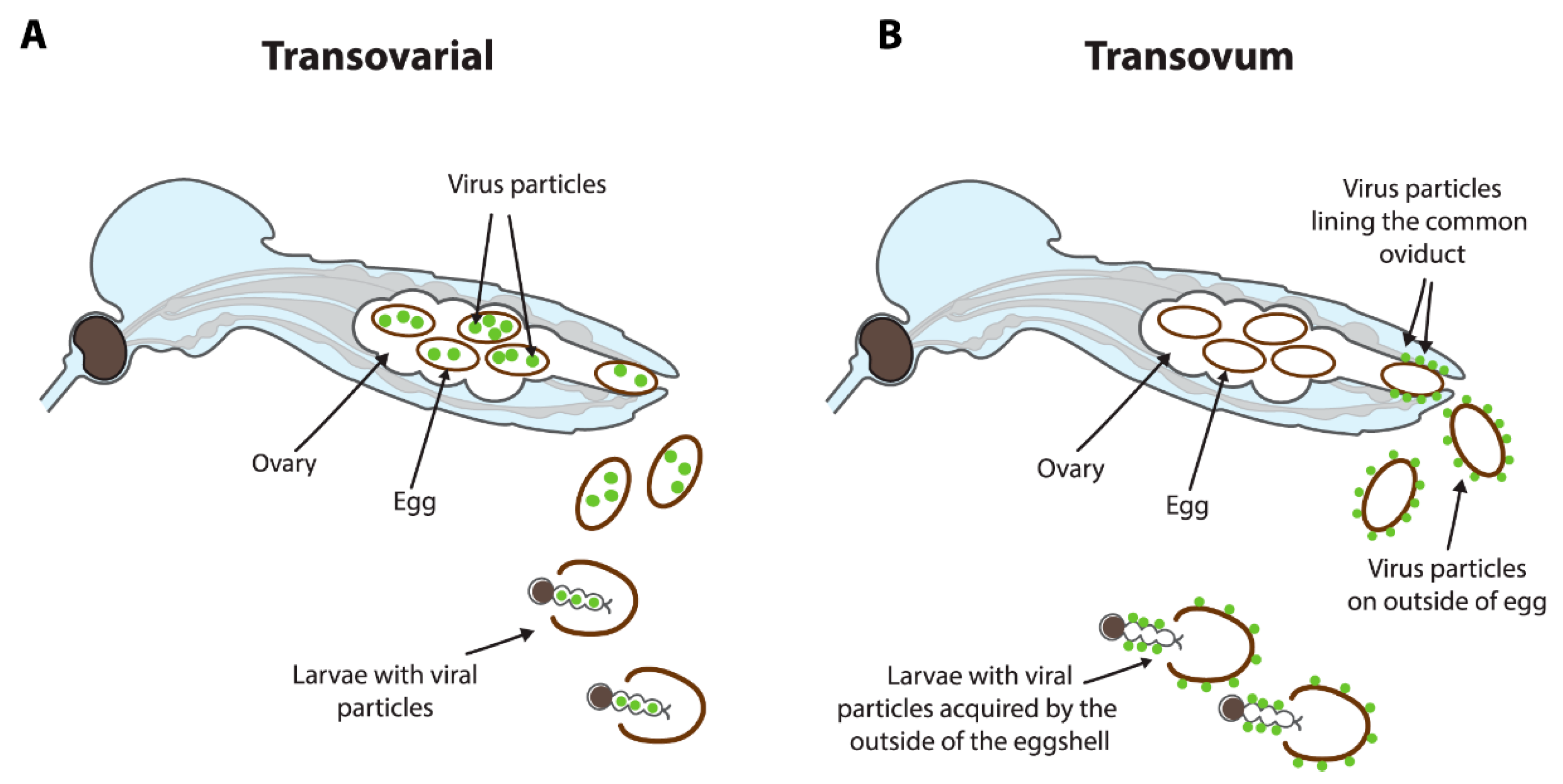 Preprints 115450 g004