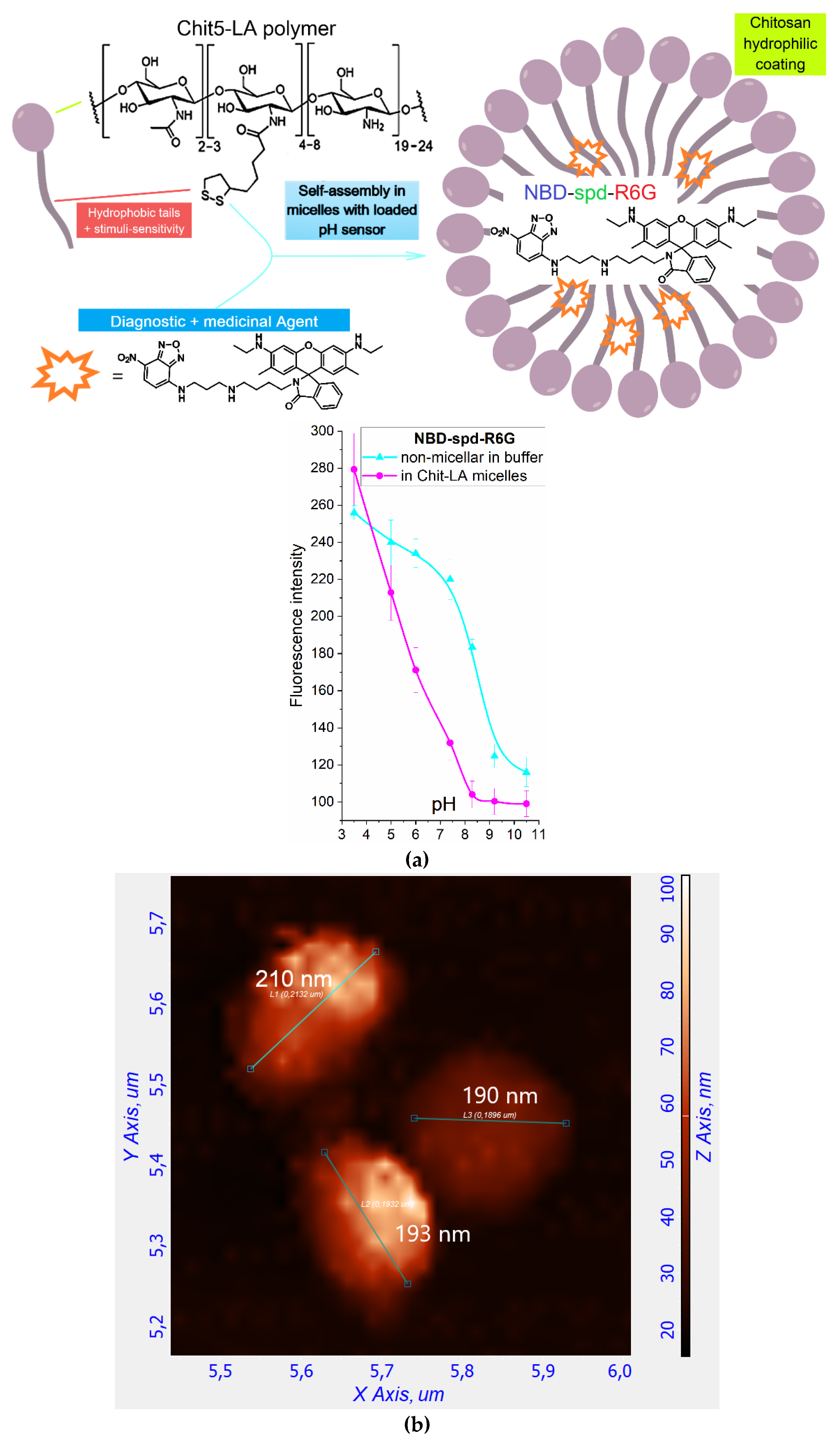 Preprints 114321 g002a