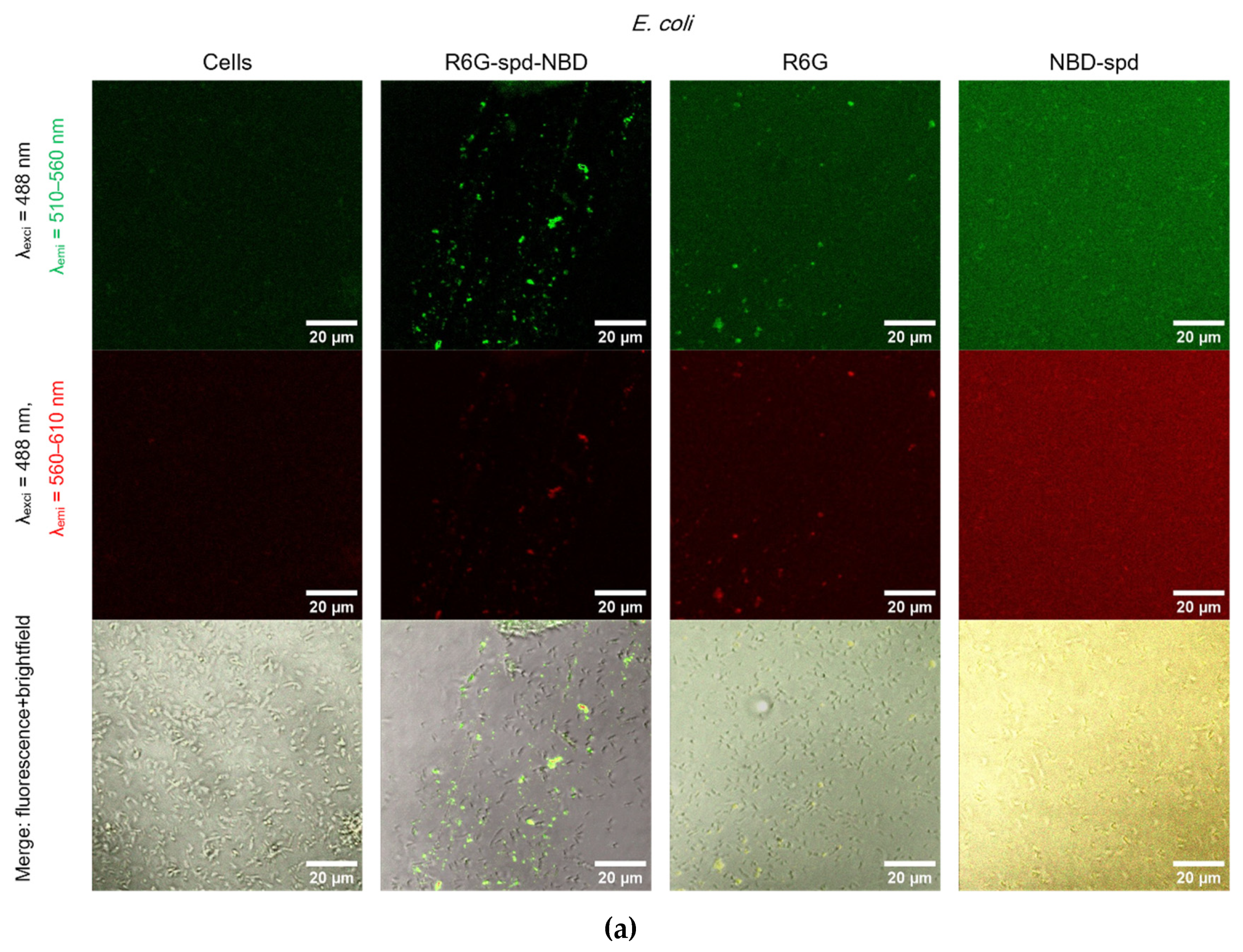 Preprints 114321 g005a