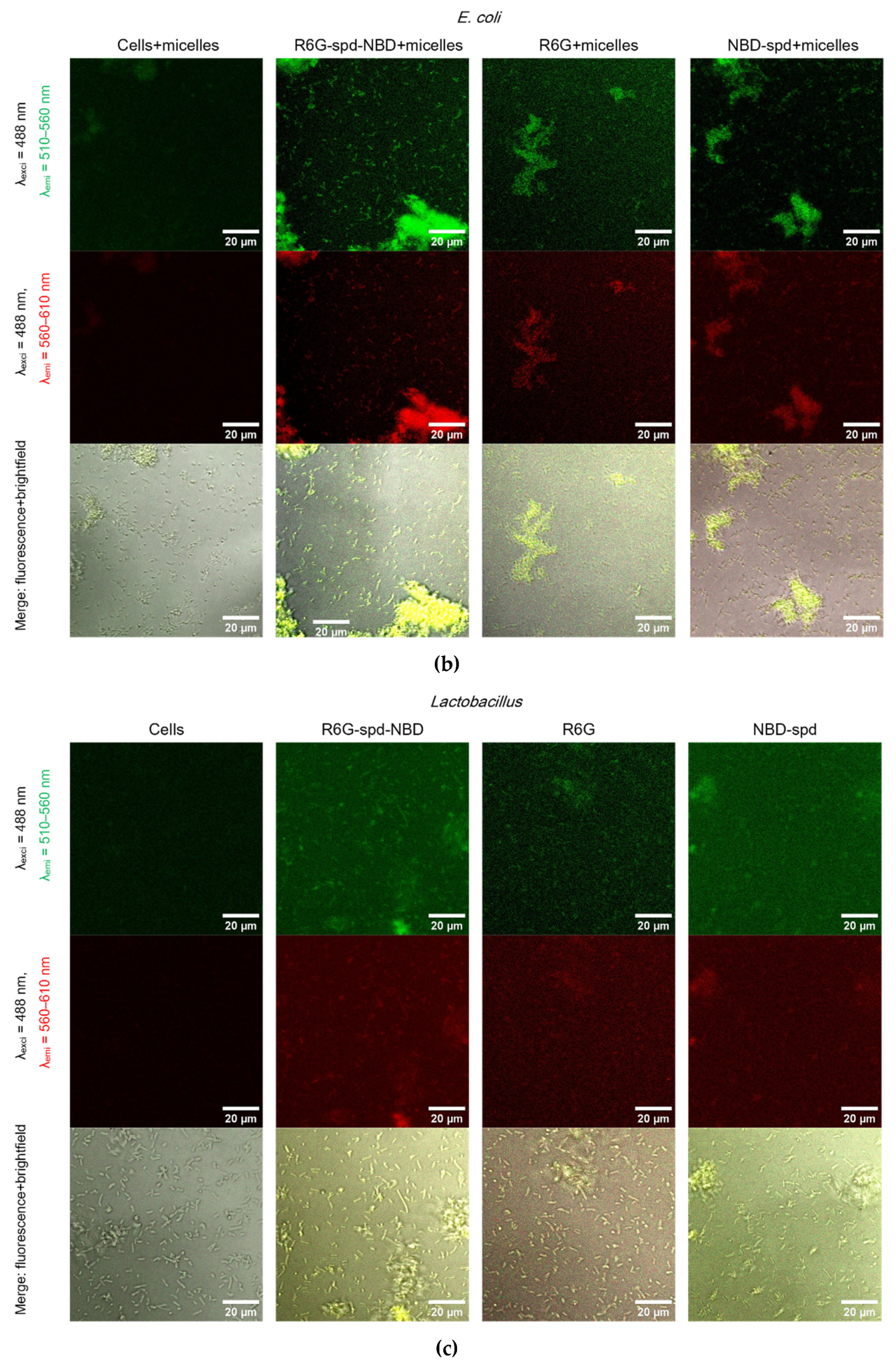 Preprints 114321 g005b