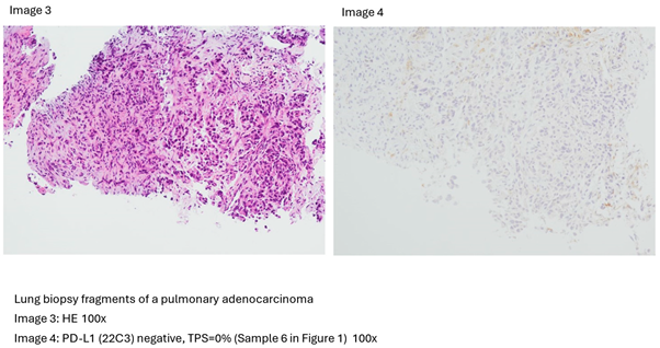 Preprints 102539 i002