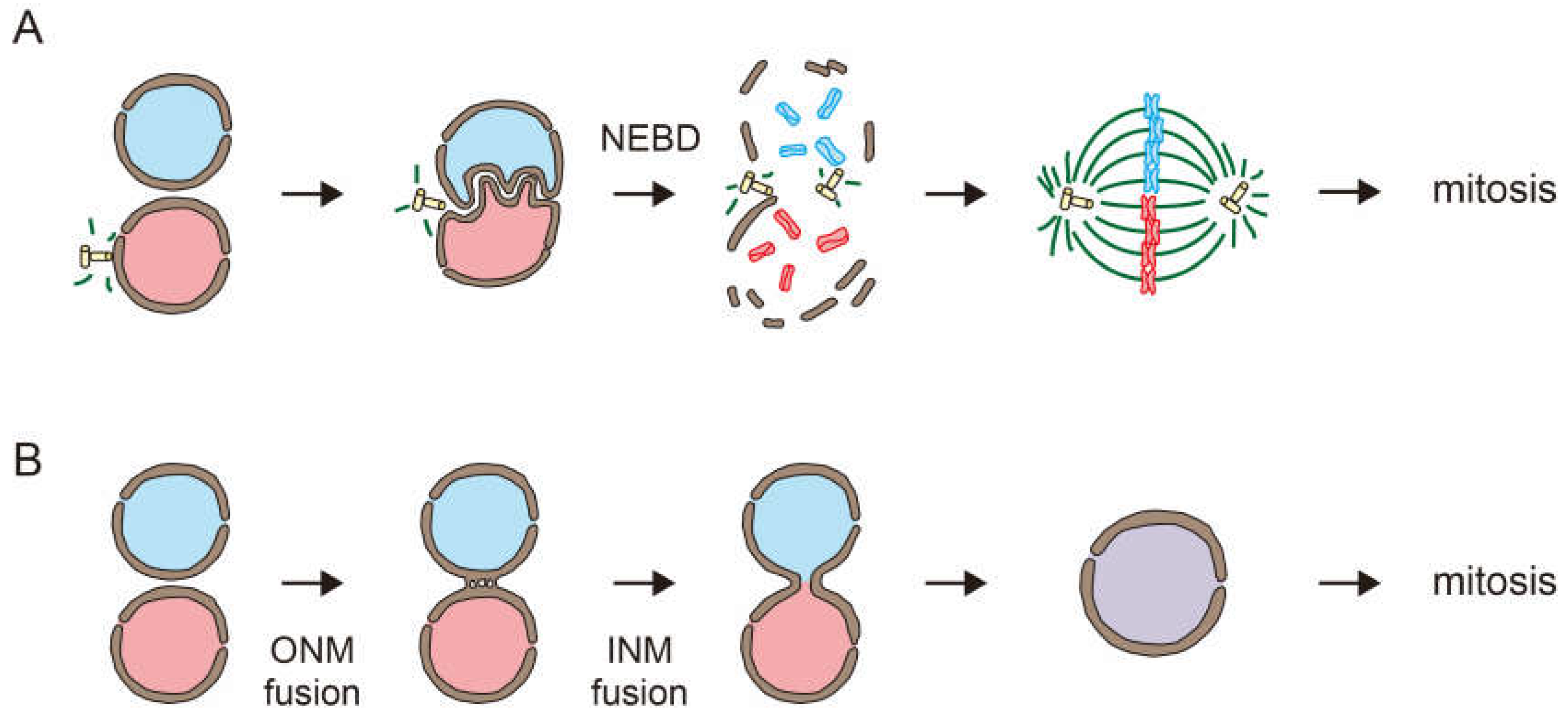 Preprints 85740 g001