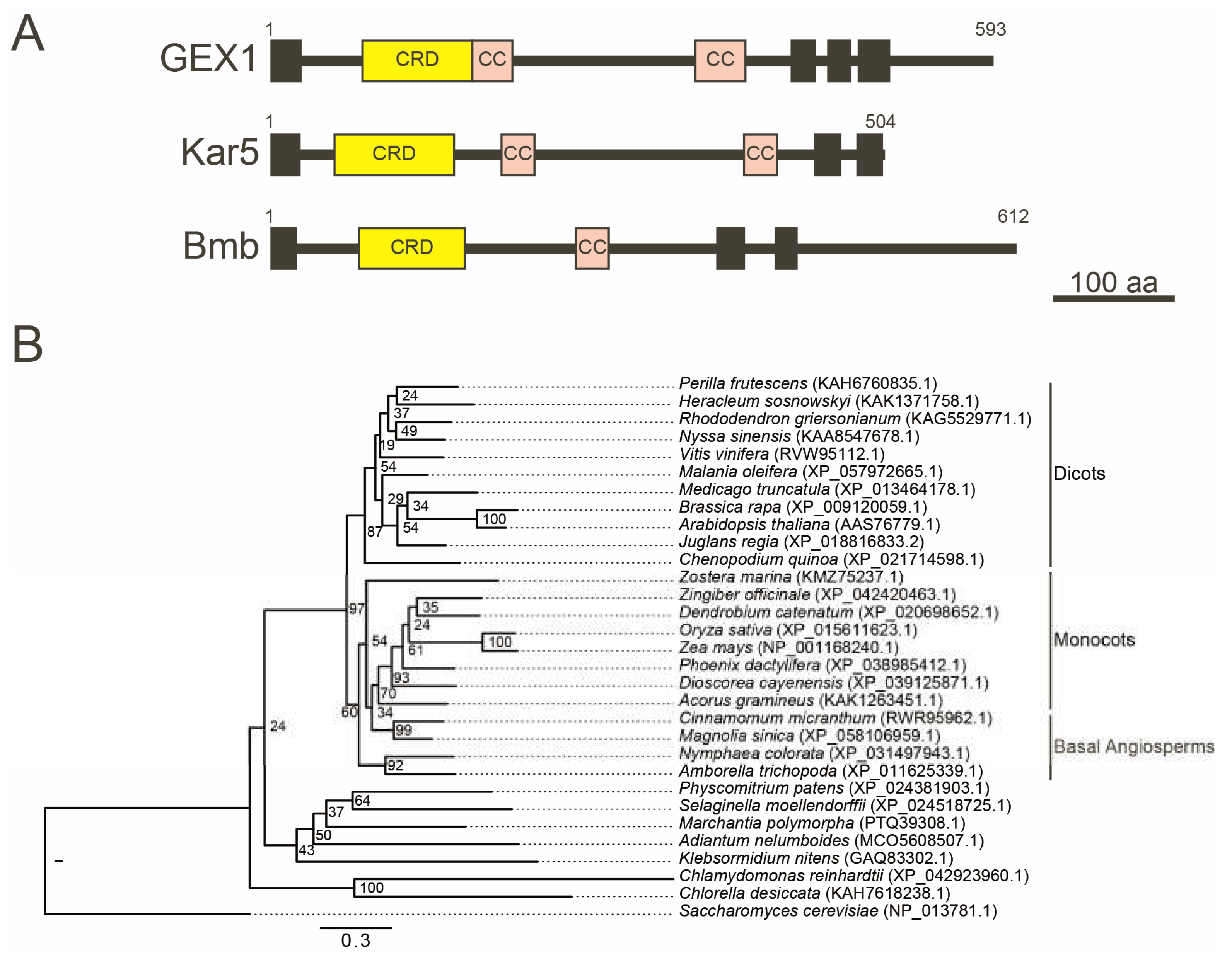 Preprints 85740 g003