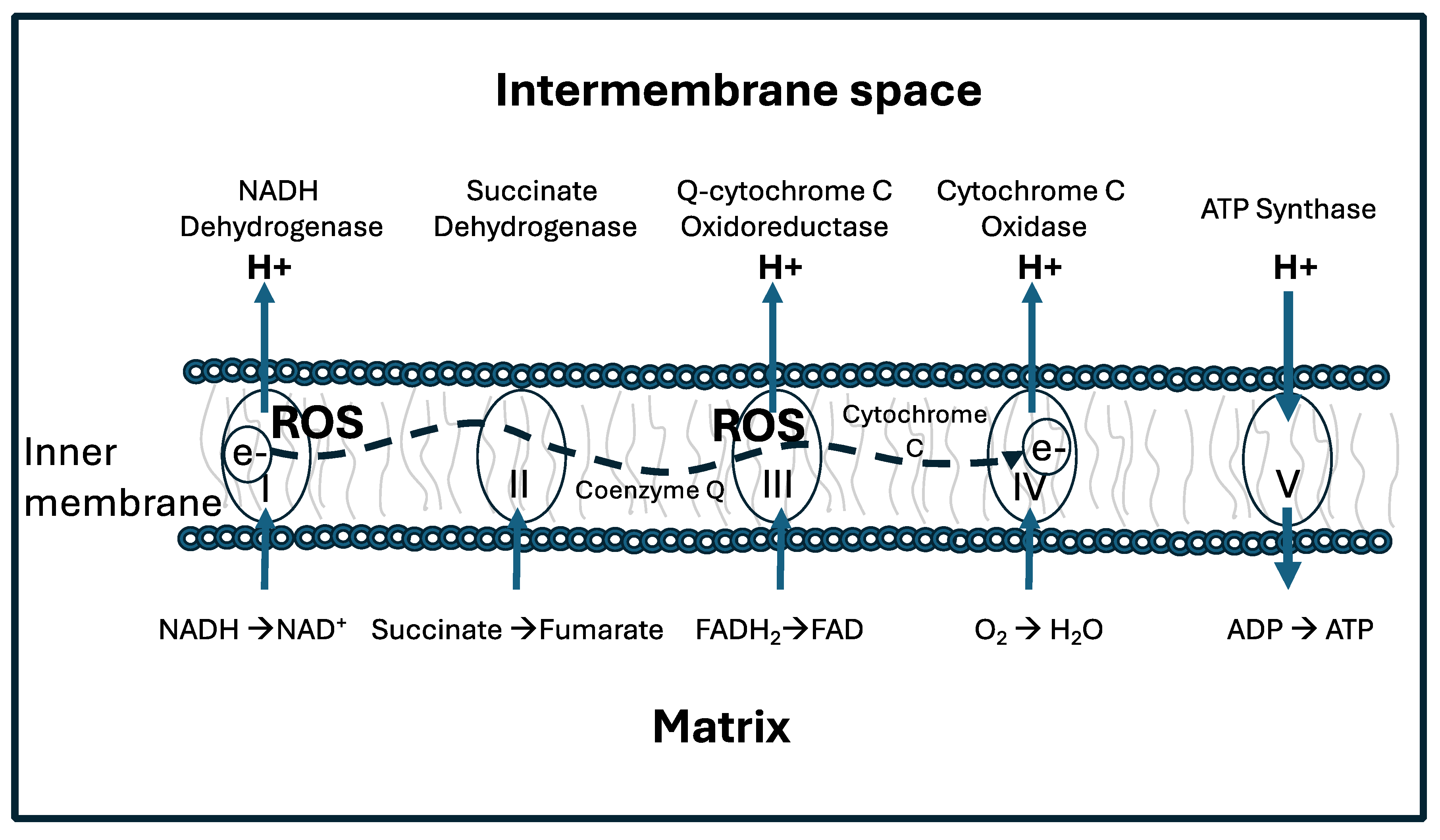 Preprints 118927 g001