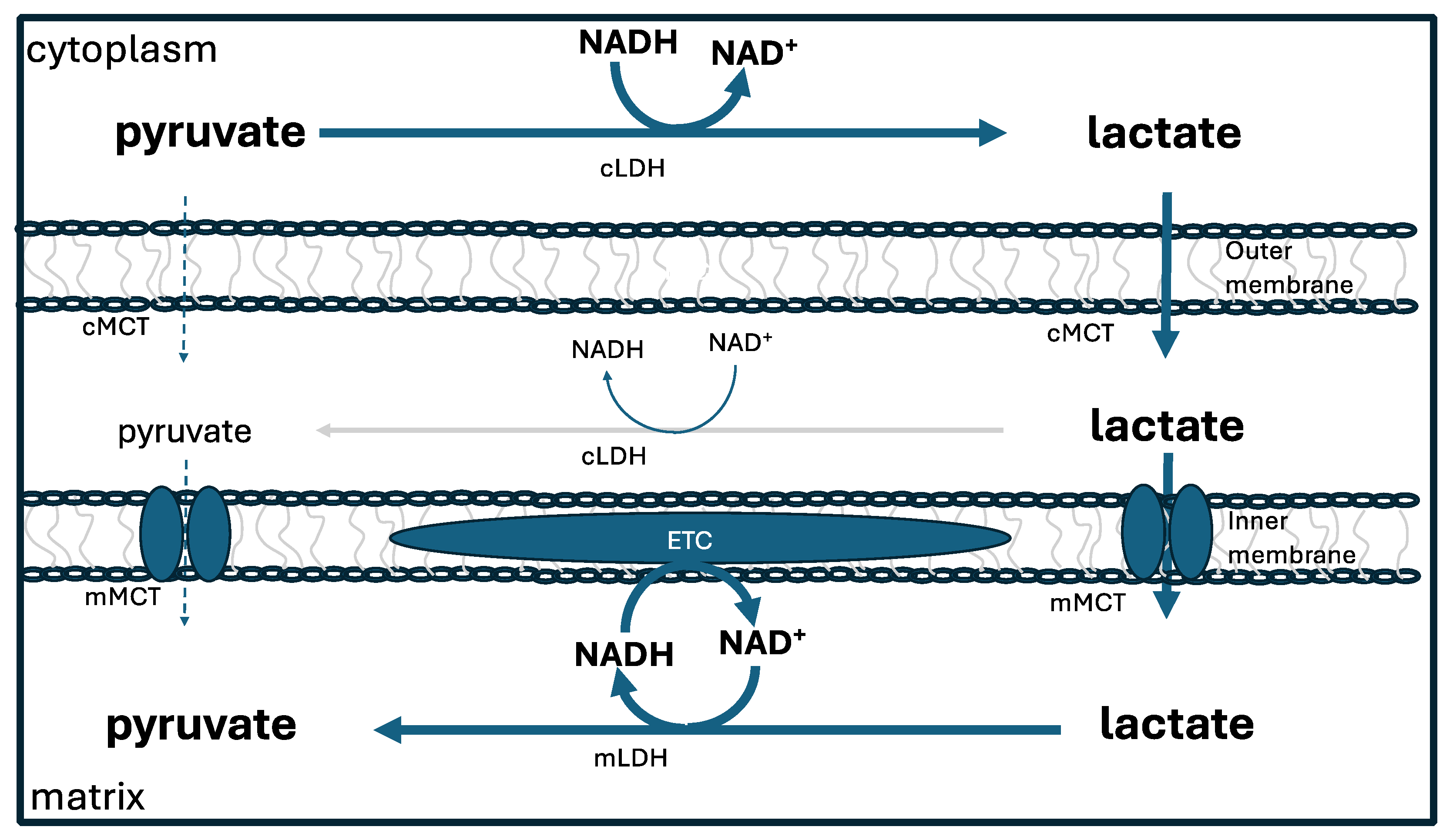 Preprints 118927 g004