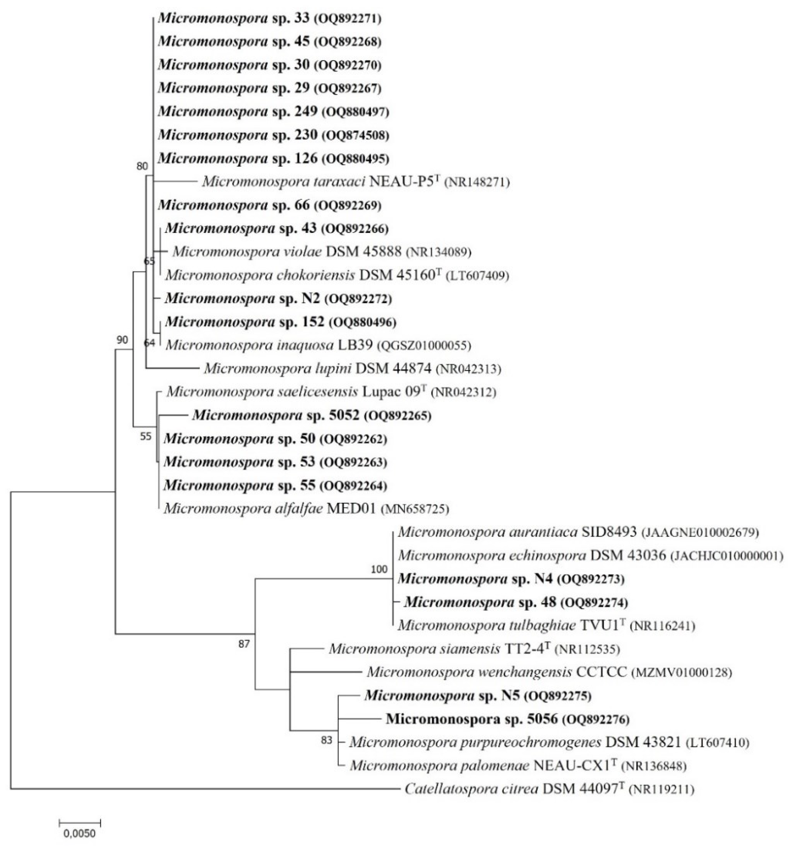 Preprints 102327 g001