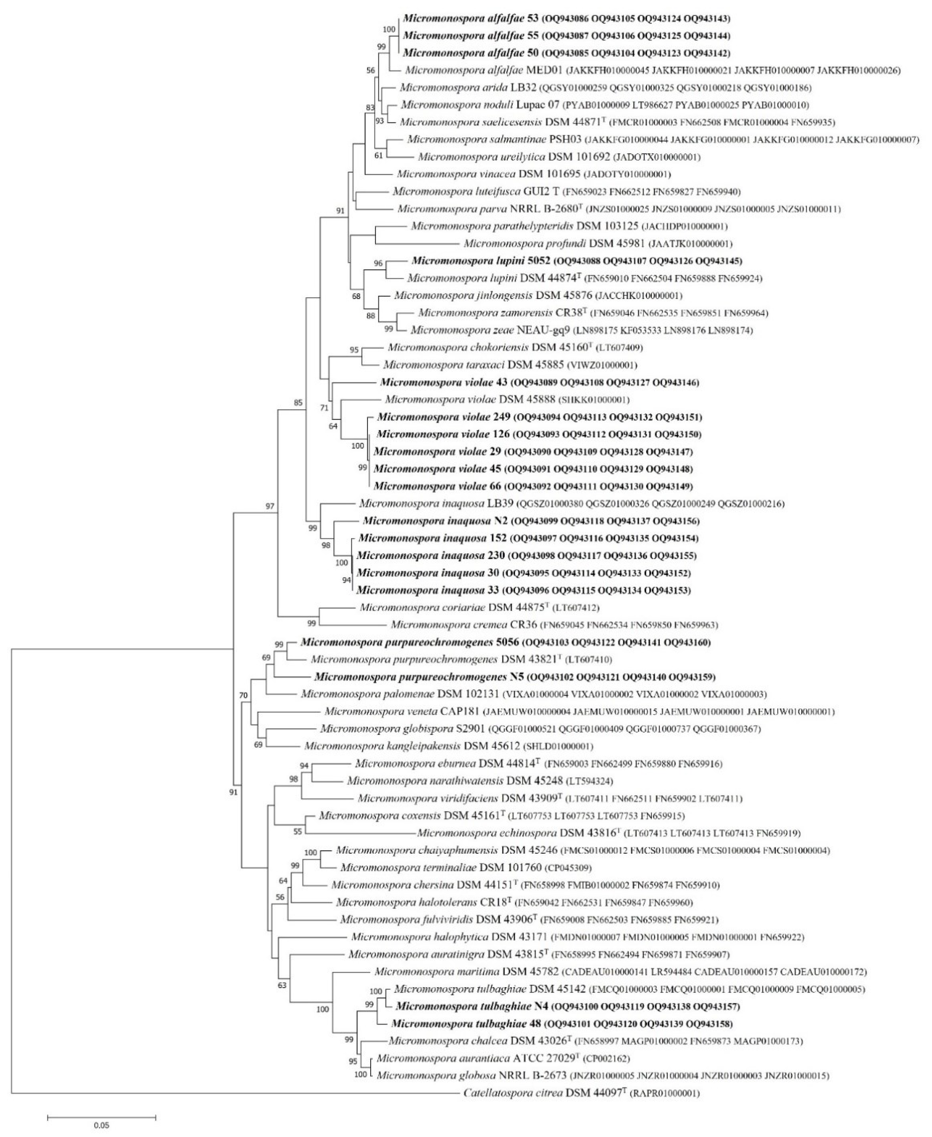 Preprints 102327 g002