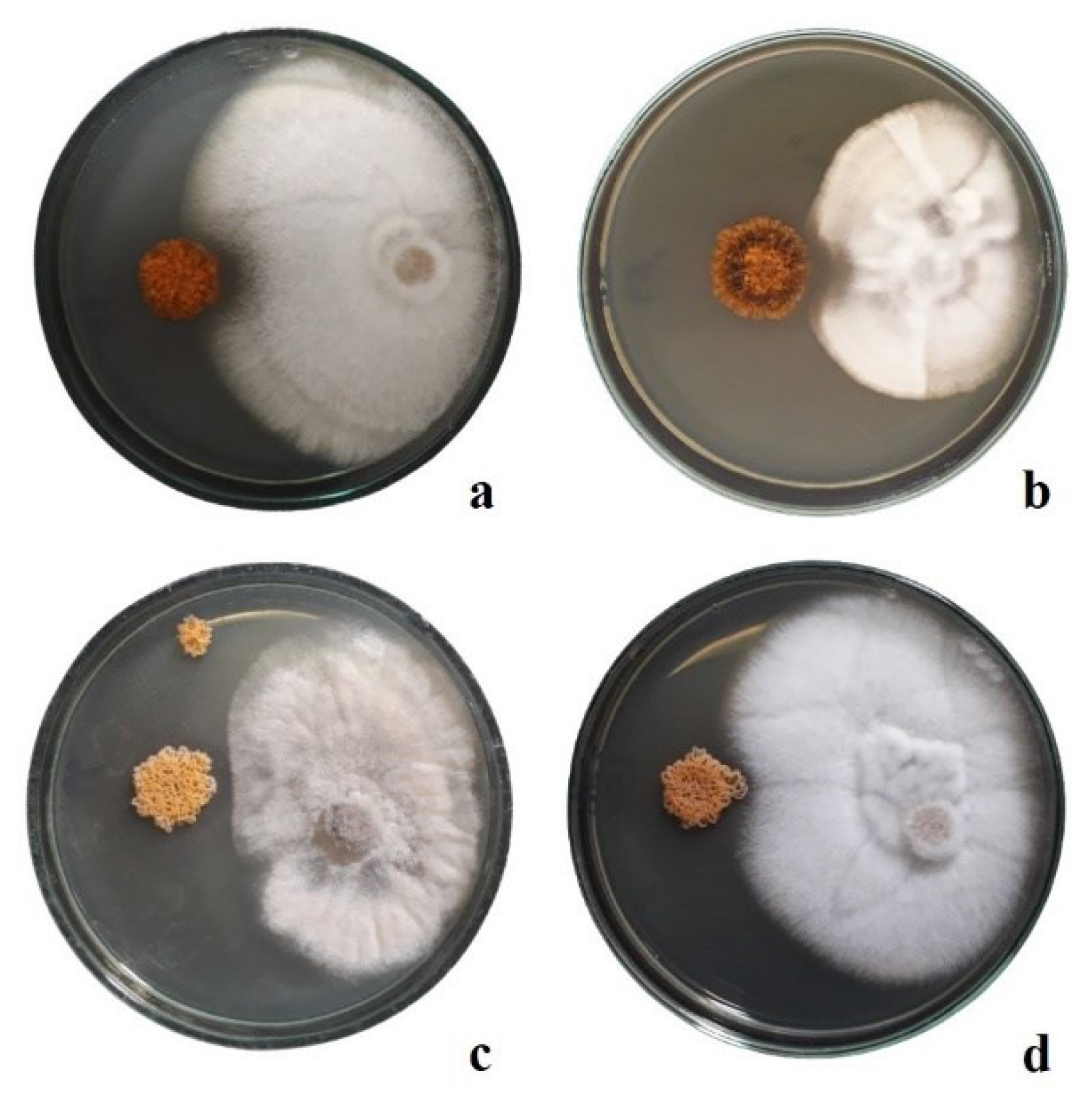 Preprints 102327 g004