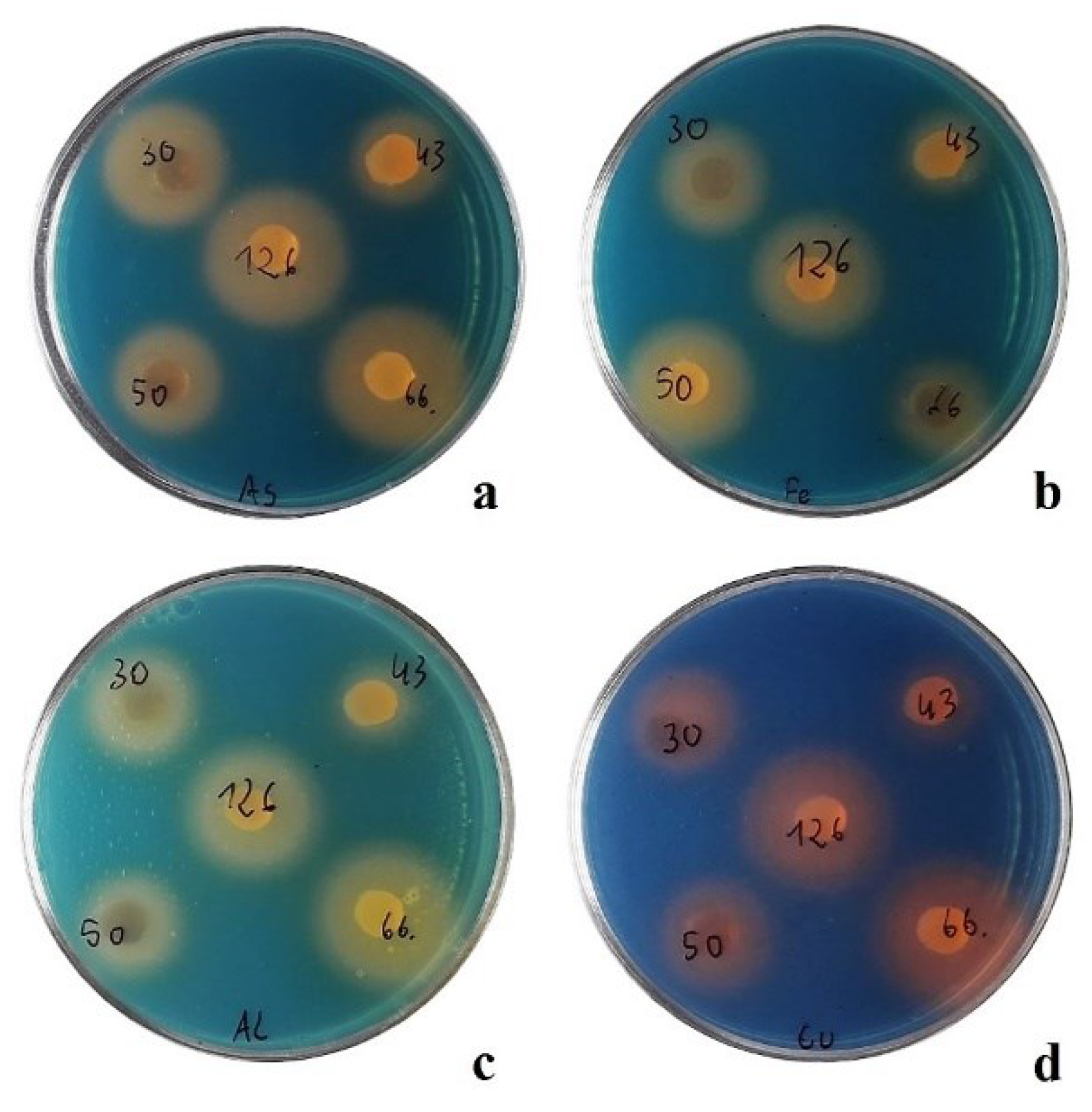 Preprints 102327 g005