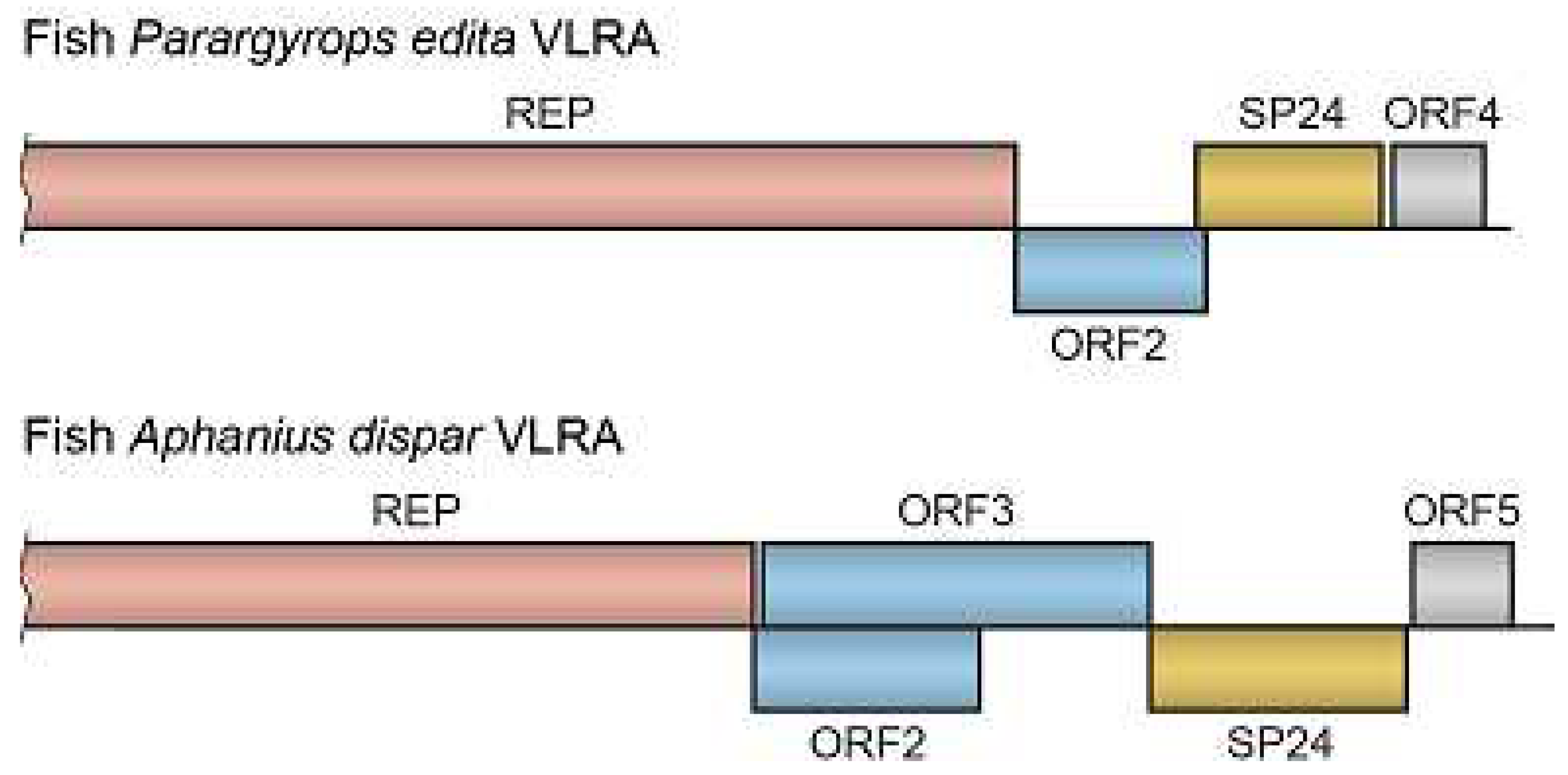 Preprints 88929 g002