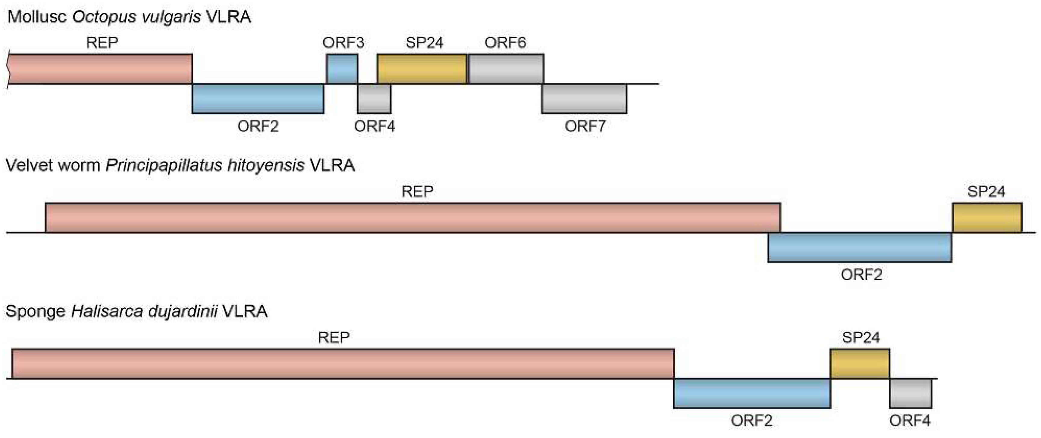 Preprints 88929 g003