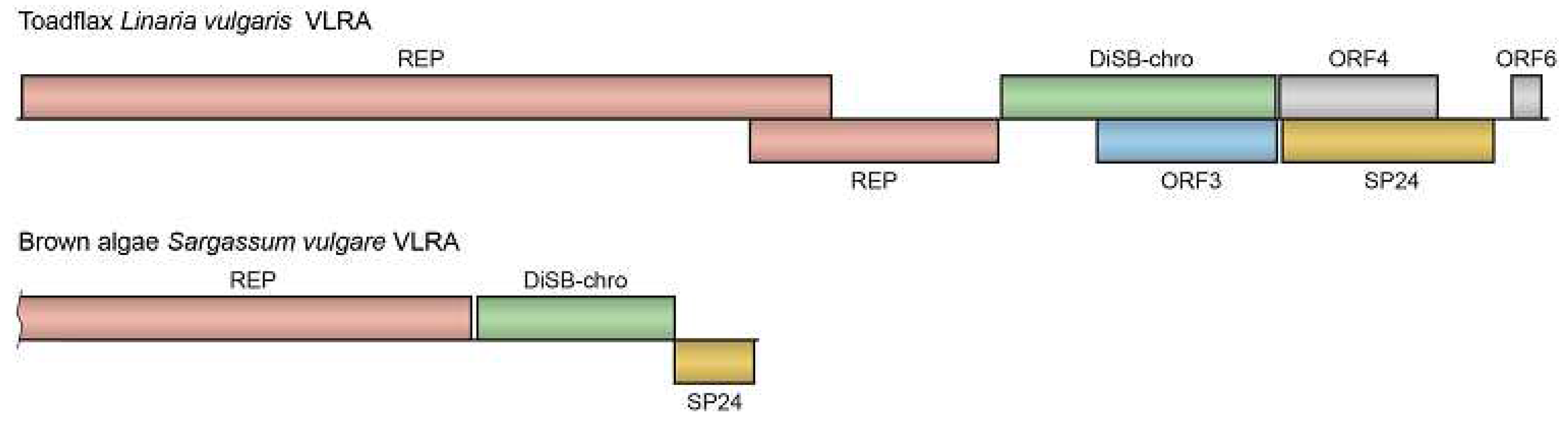 Preprints 88929 g004