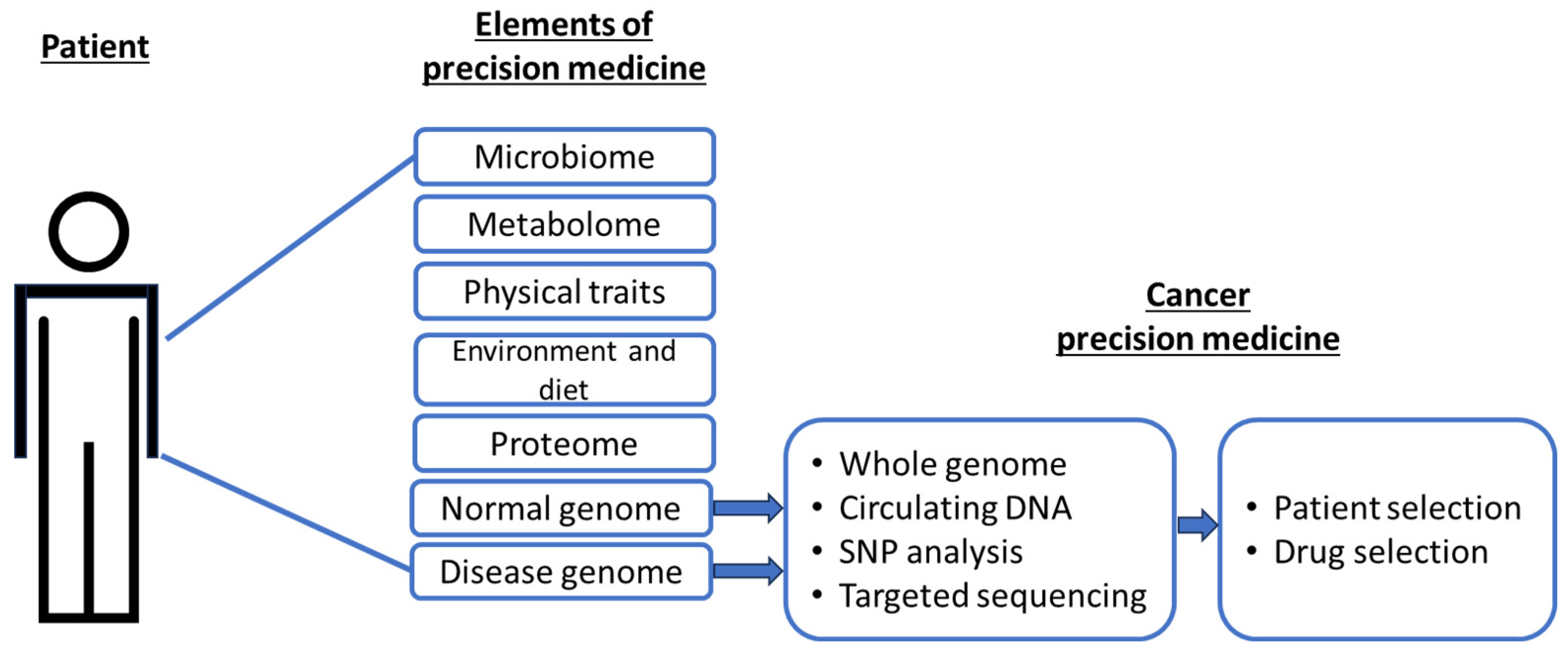 Preprints 91221 g001