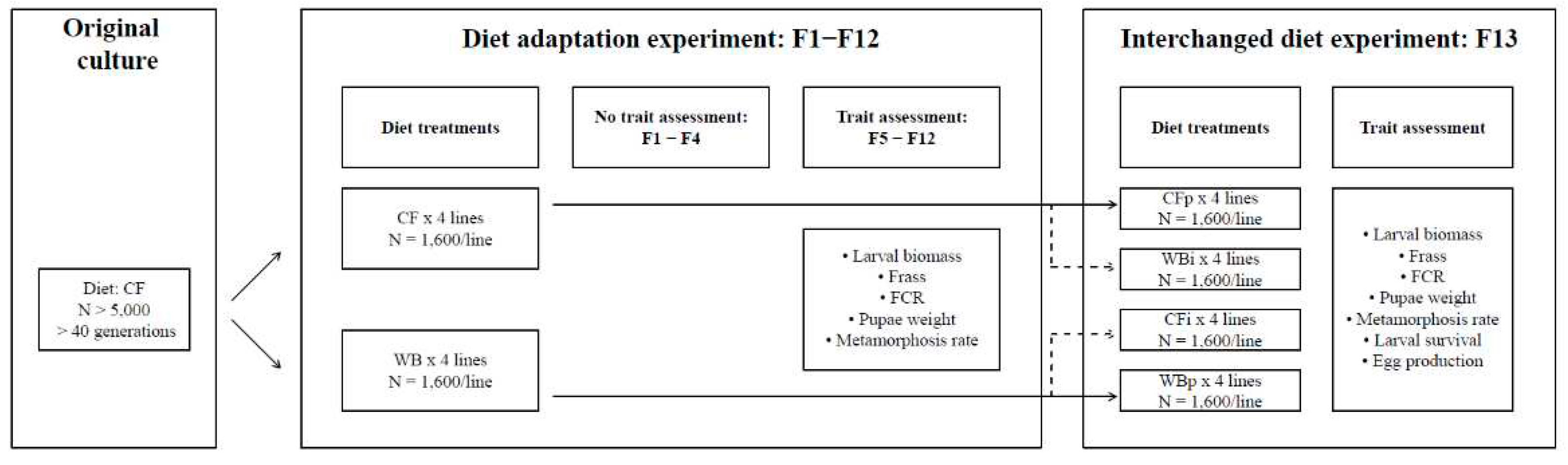 Preprints 82808 g001