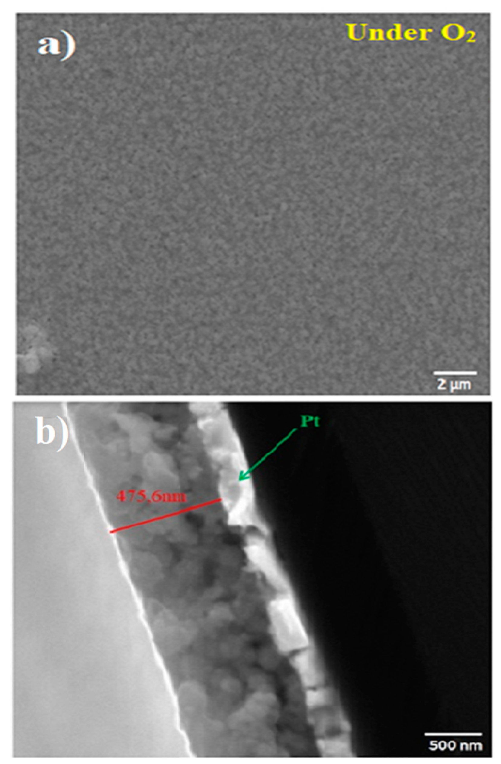 Preprints 81052 g001