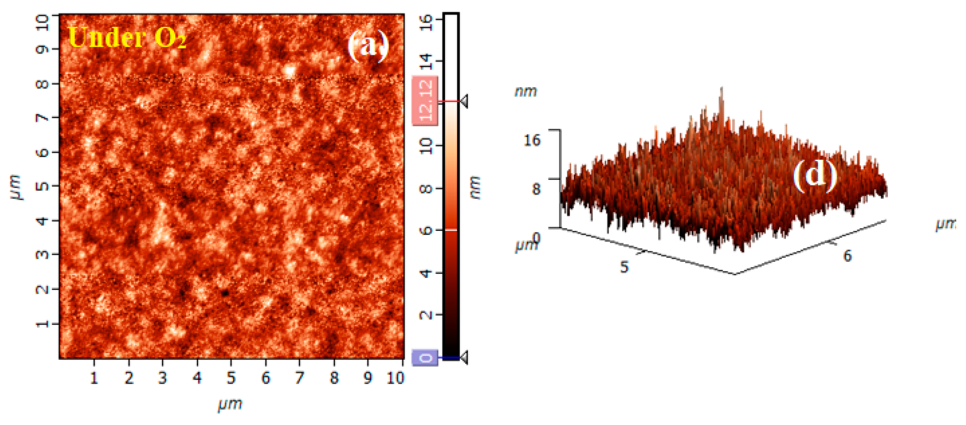 Preprints 81052 g003