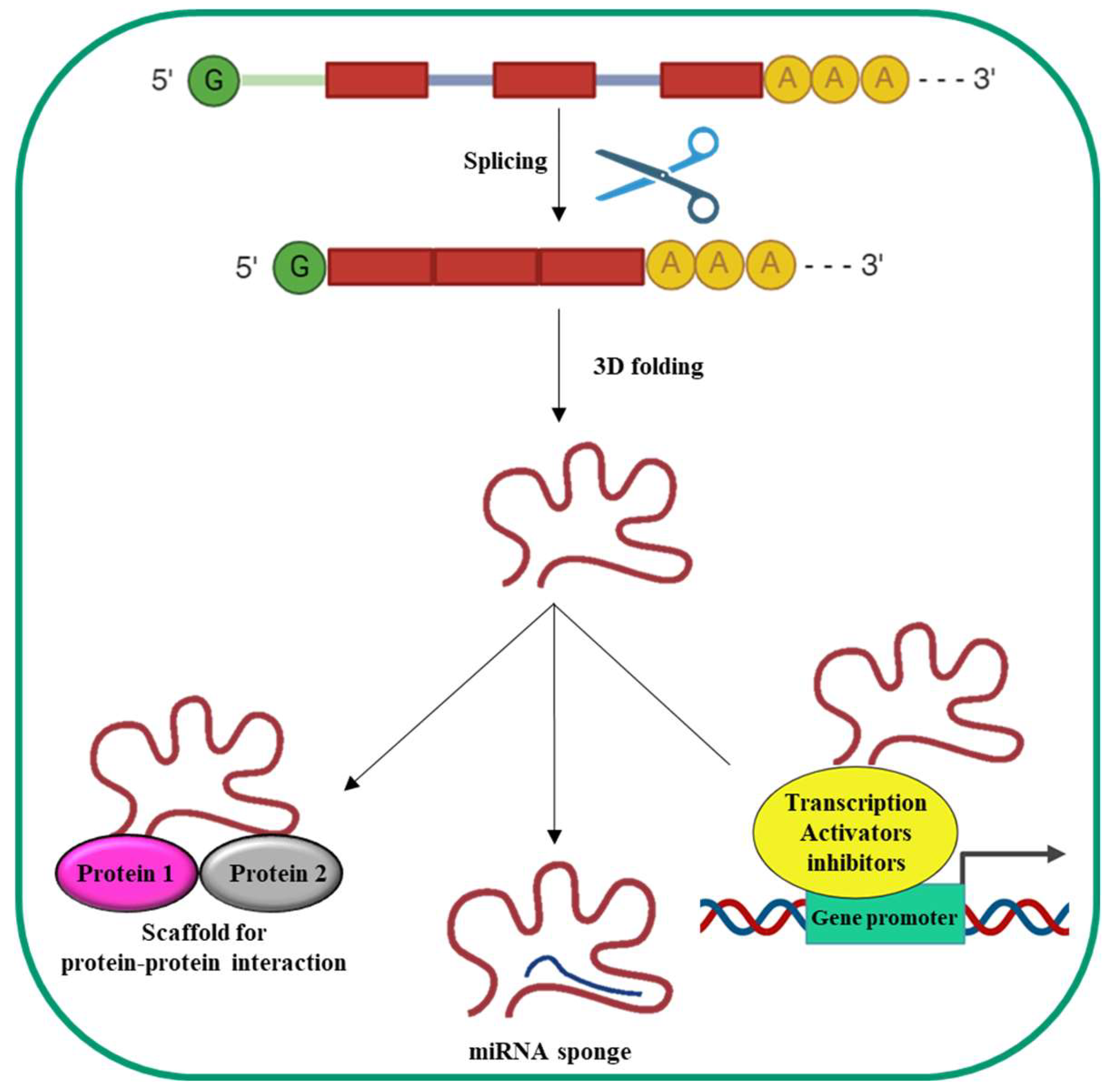 Preprints 120404 g002