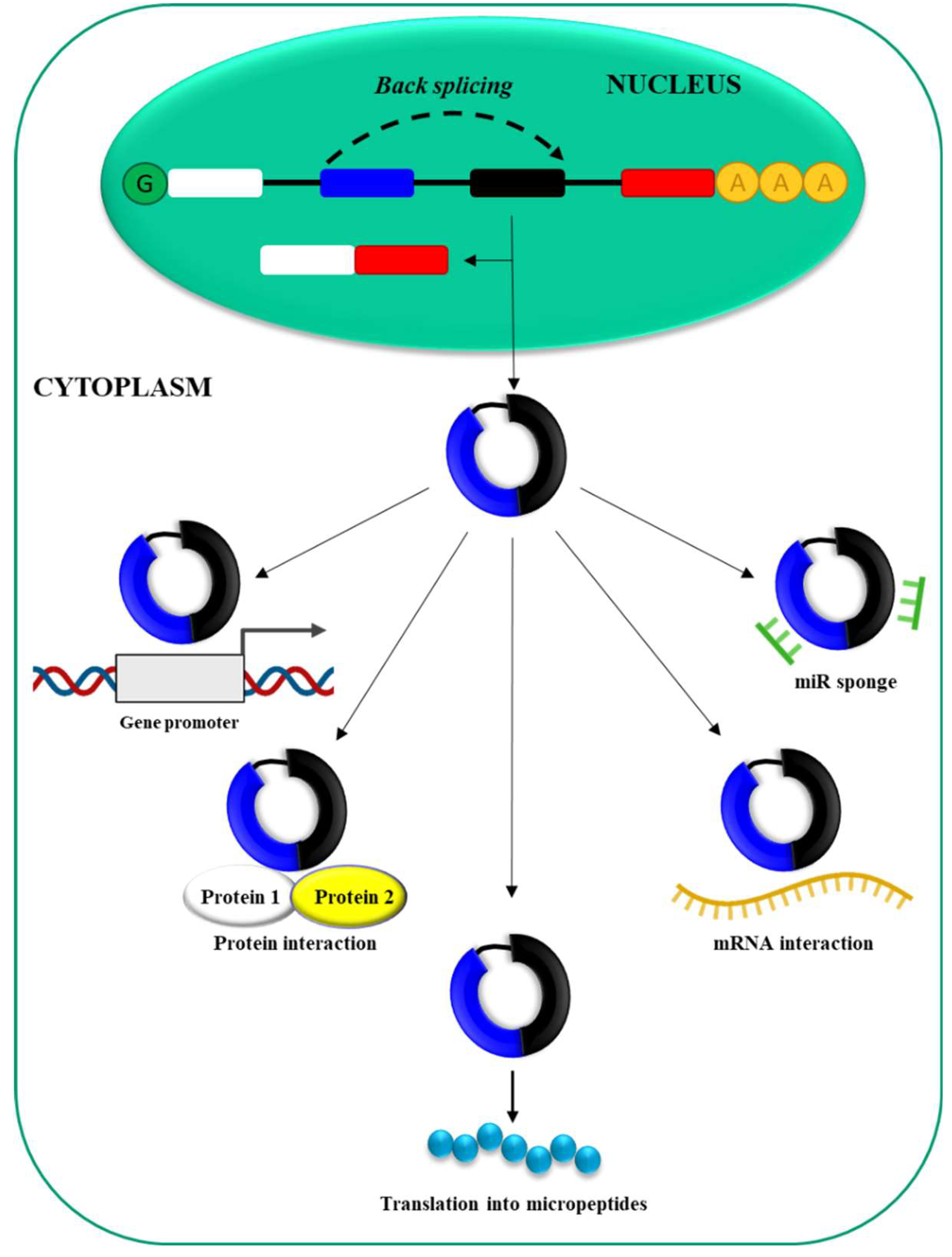 Preprints 120404 g003