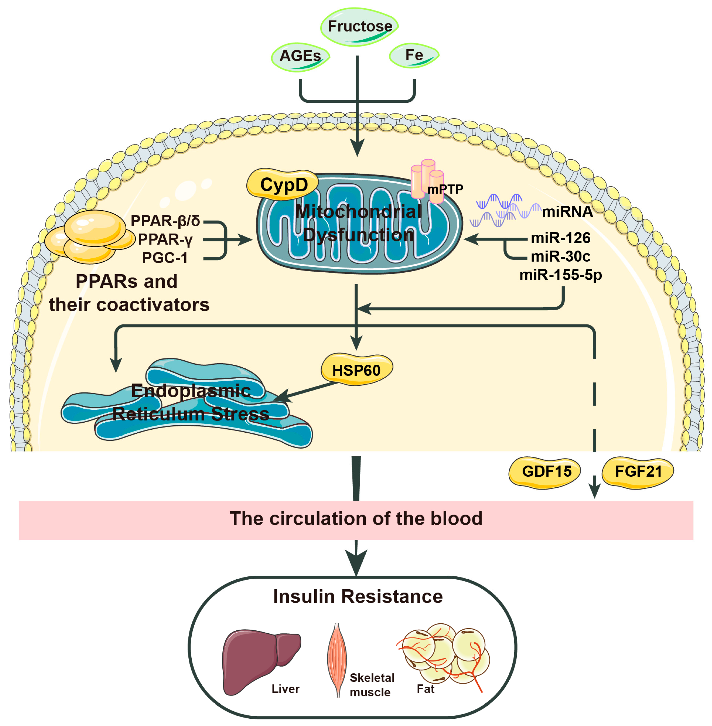 Preprints 74101 g002