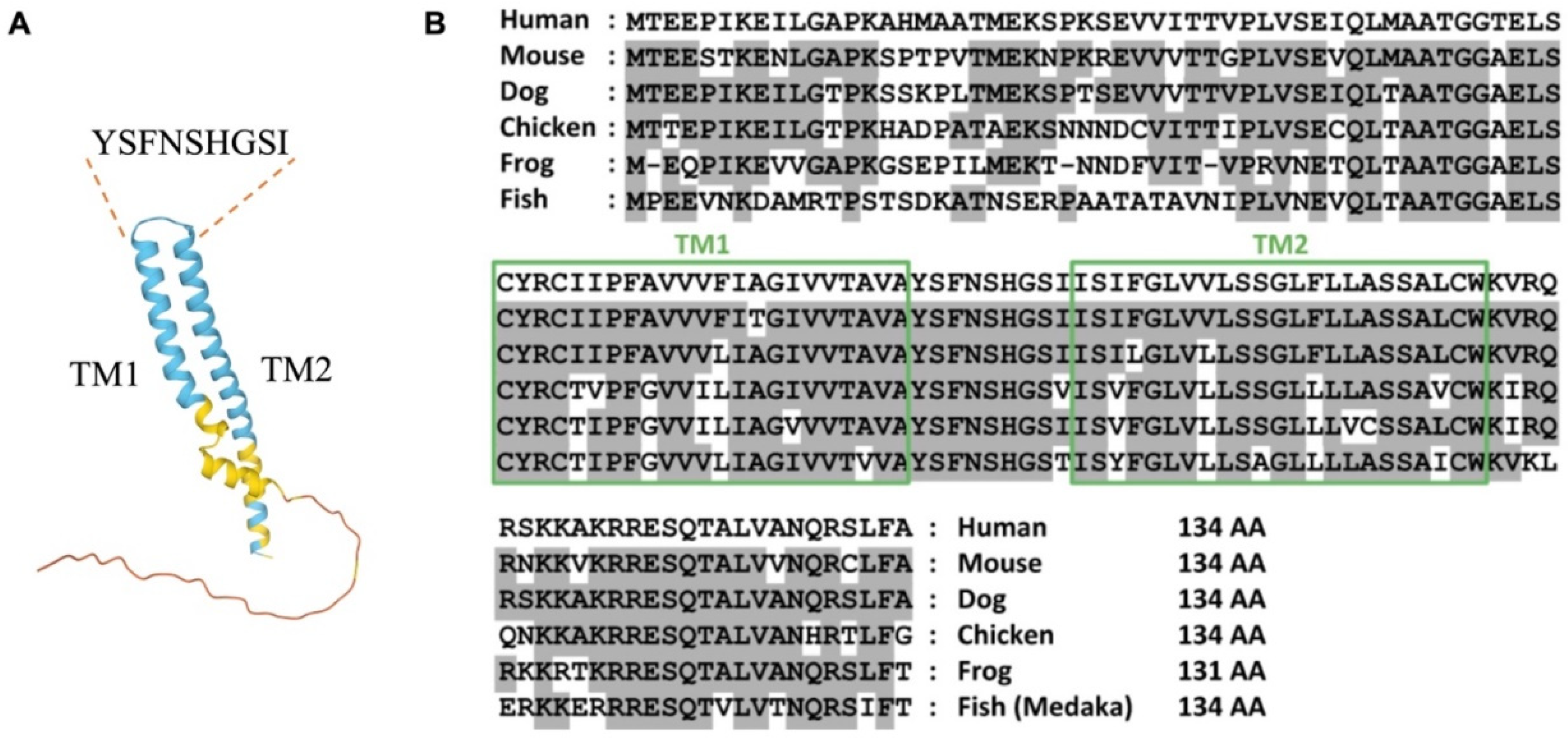 Preprints 68823 g001