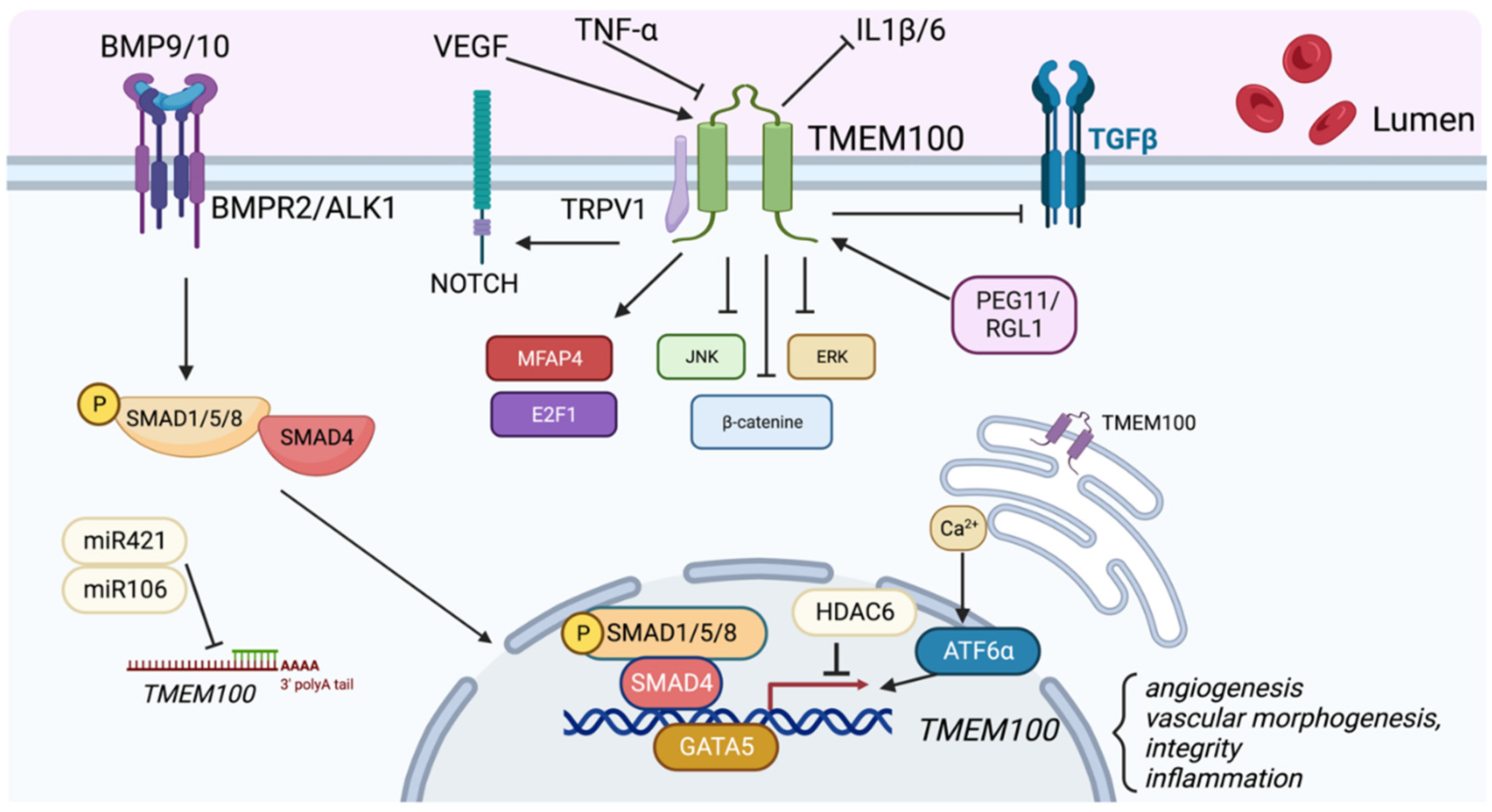 Preprints 68823 g002