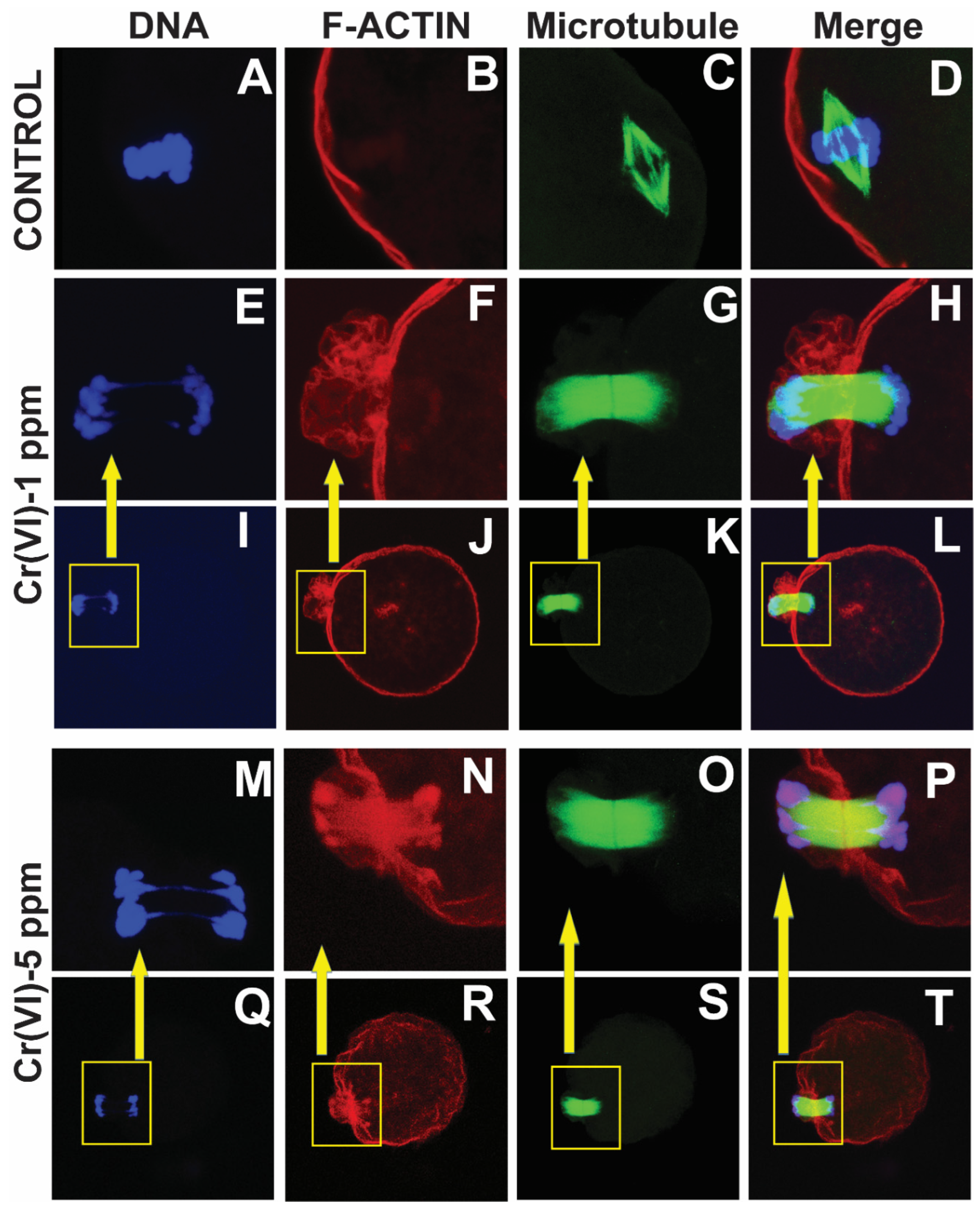 Preprints 71504 g004