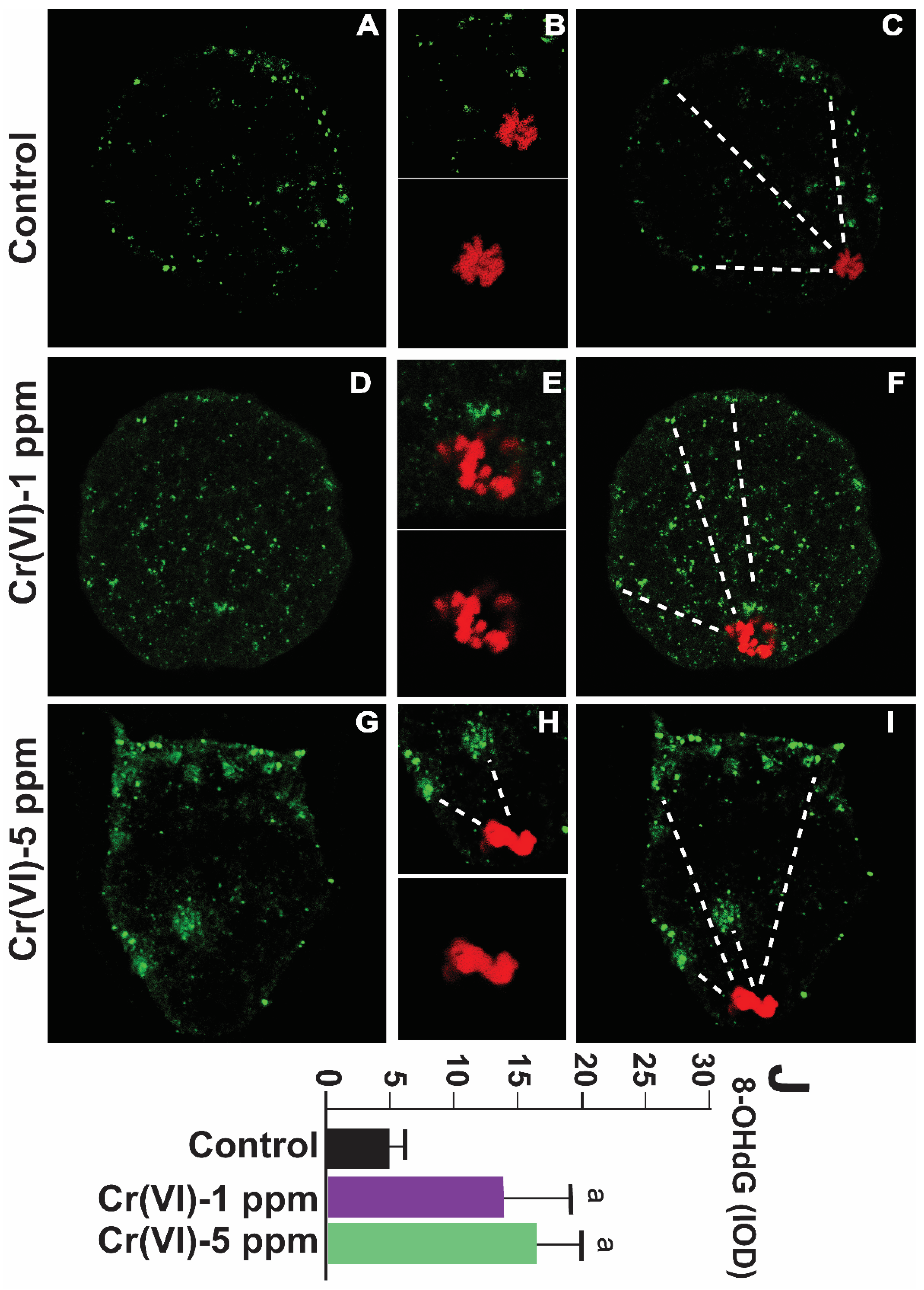 Preprints 71504 g005