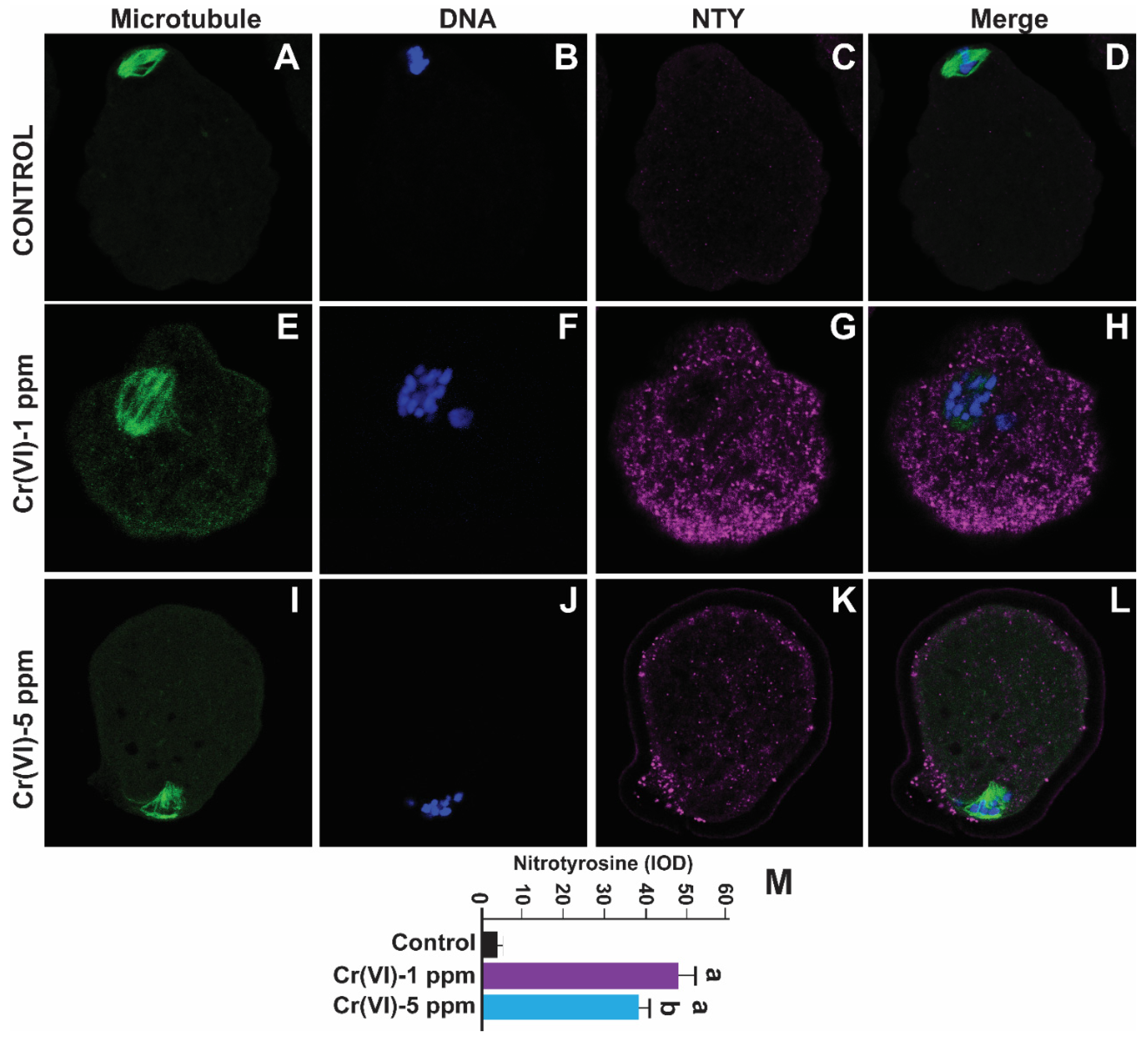 Preprints 71504 g006