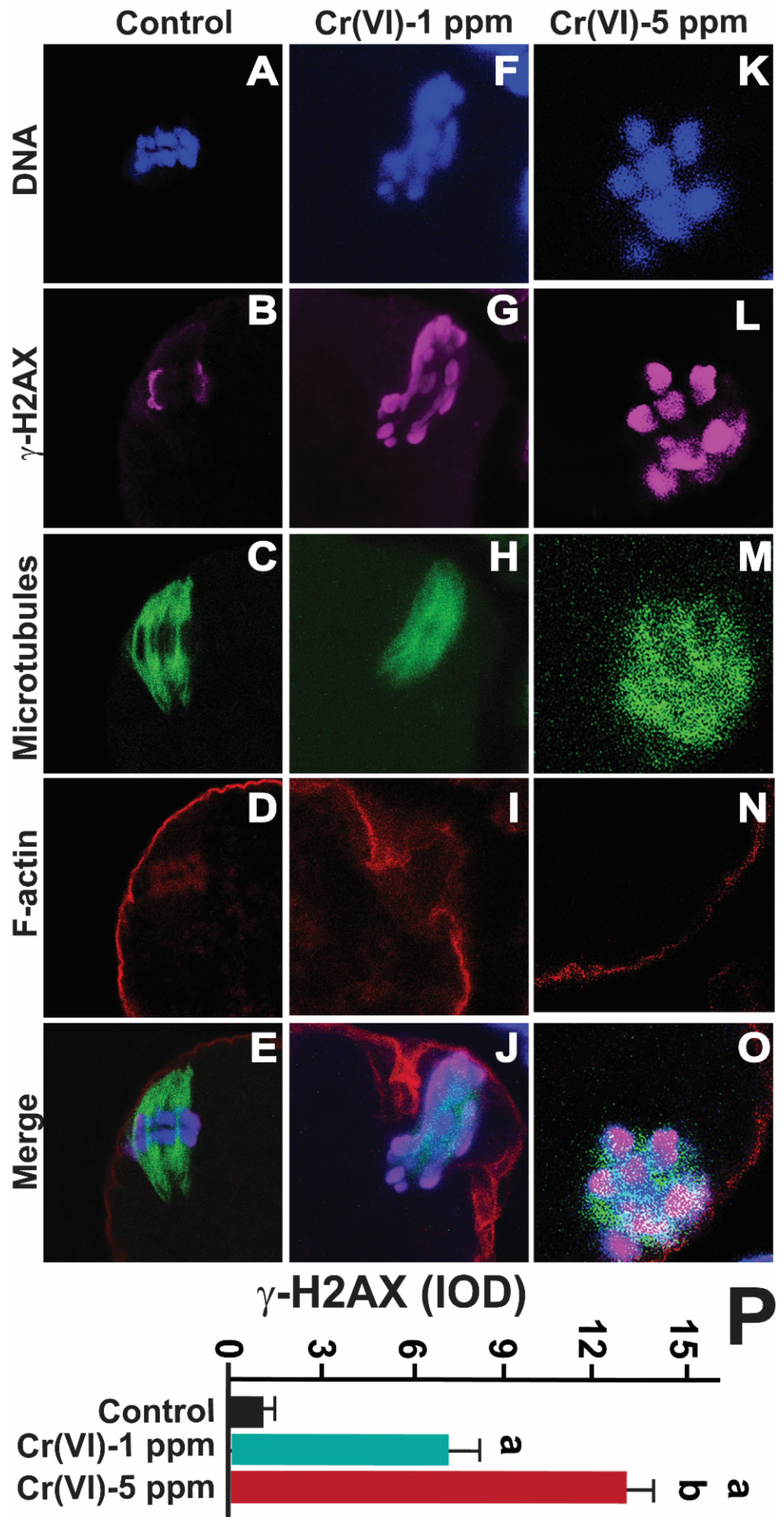 Preprints 71504 g007