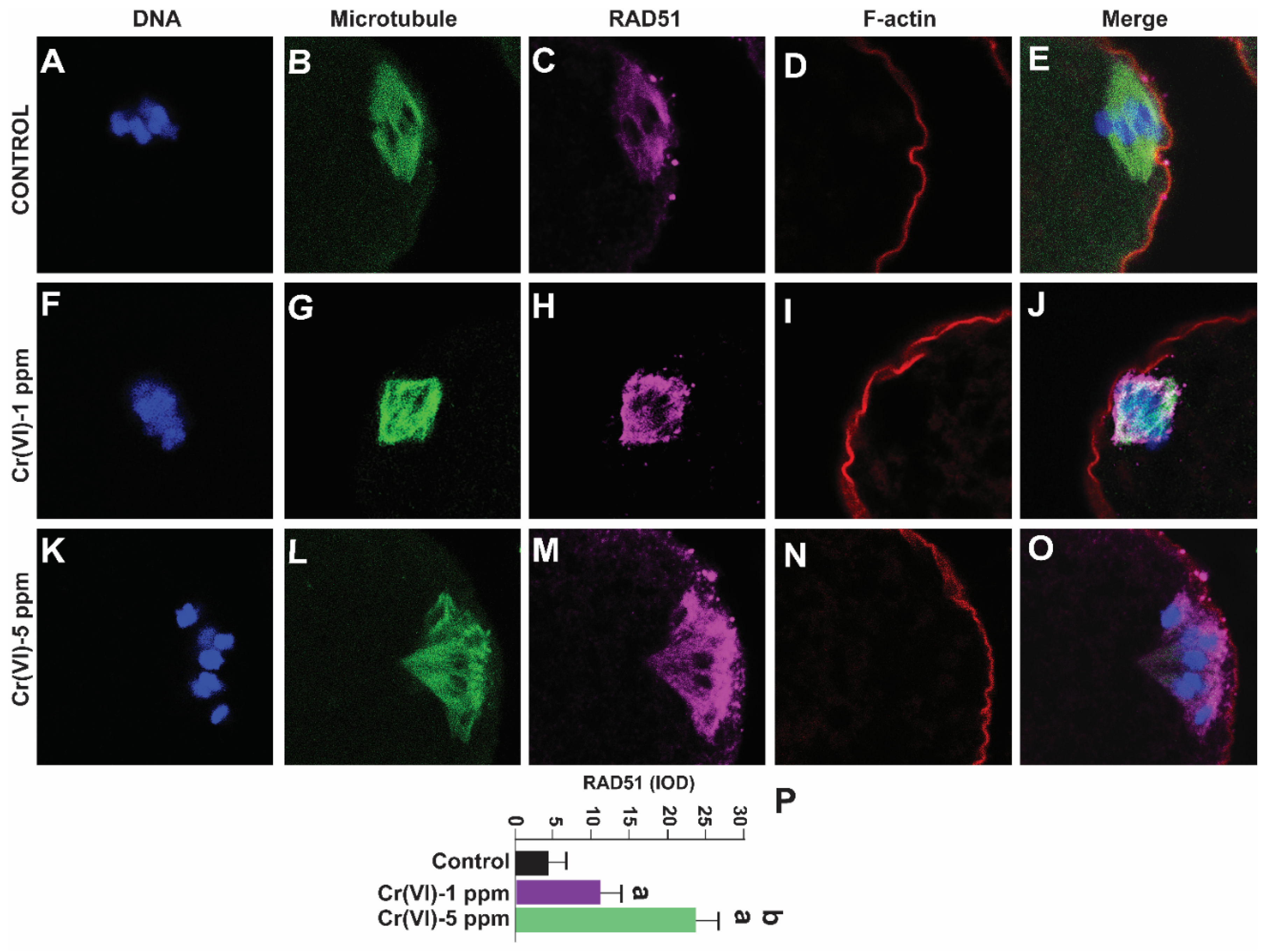 Preprints 71504 g008