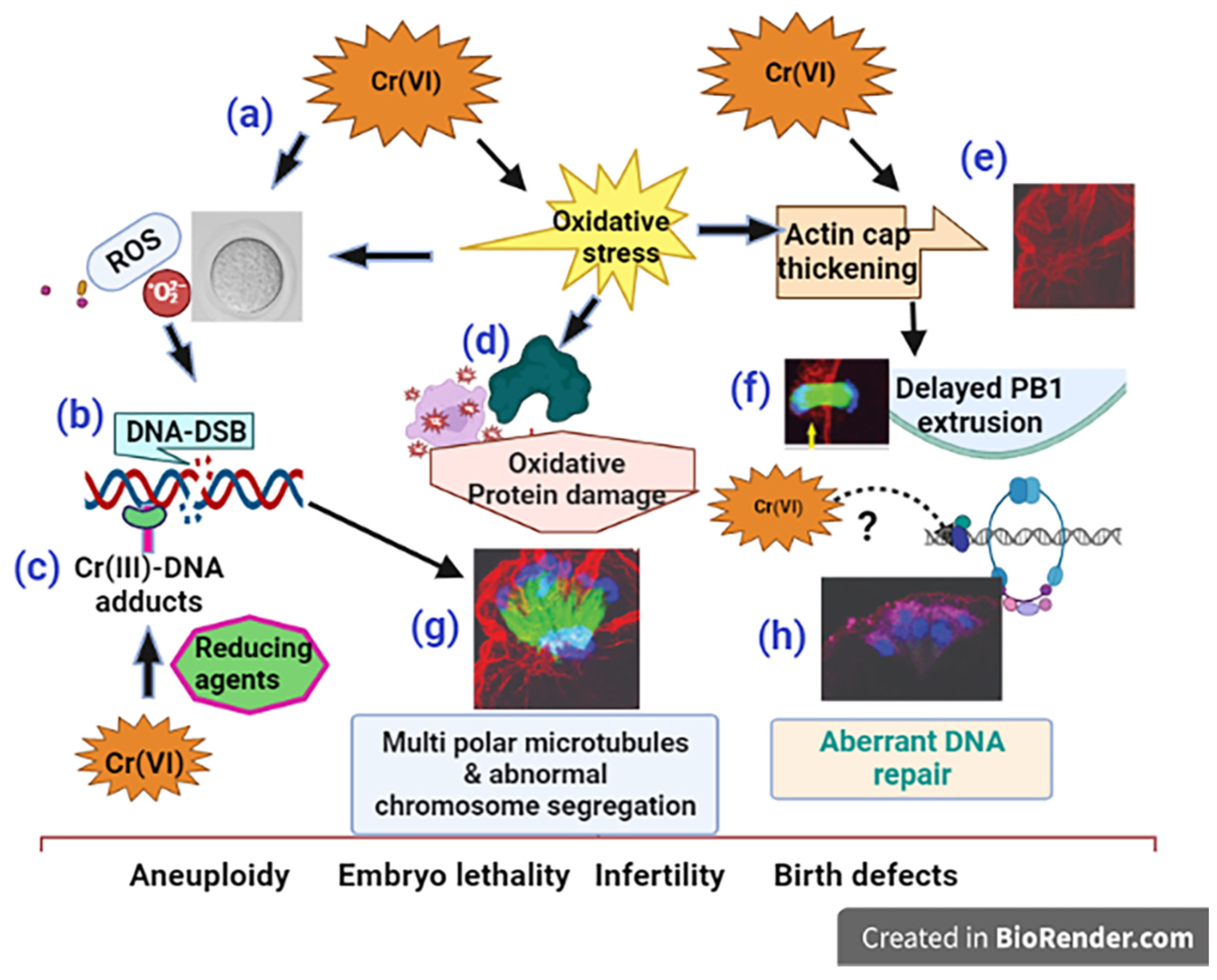 Preprints 71504 g009