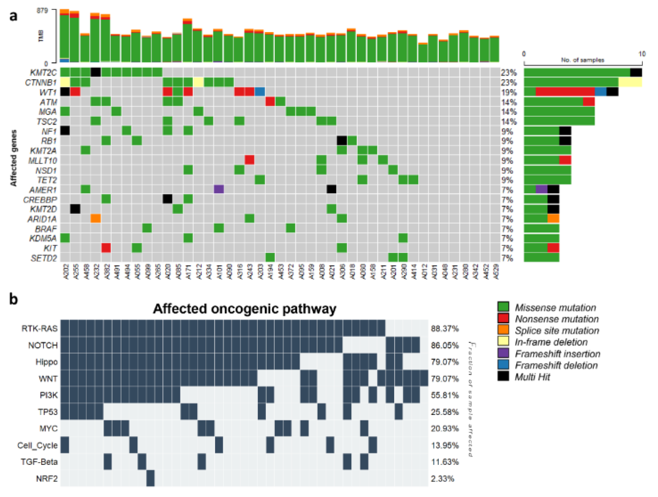 Preprints 104136 g003