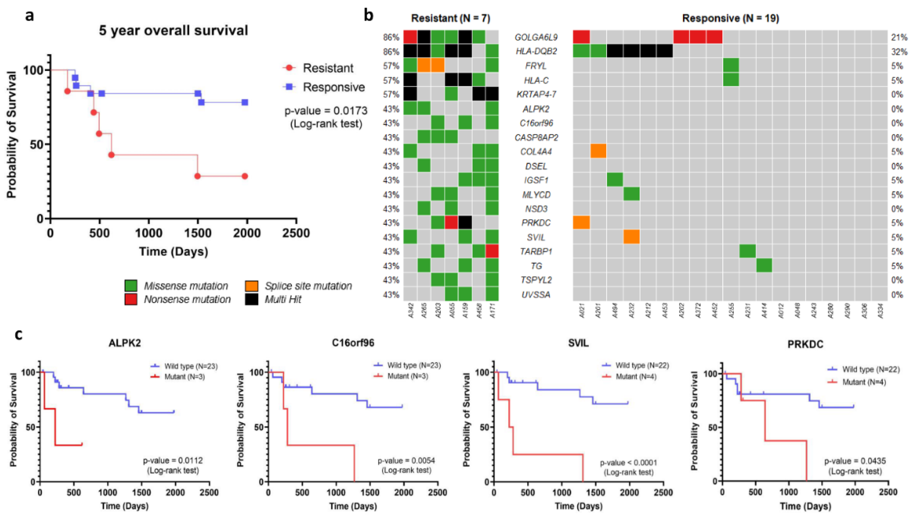 Preprints 104136 g004