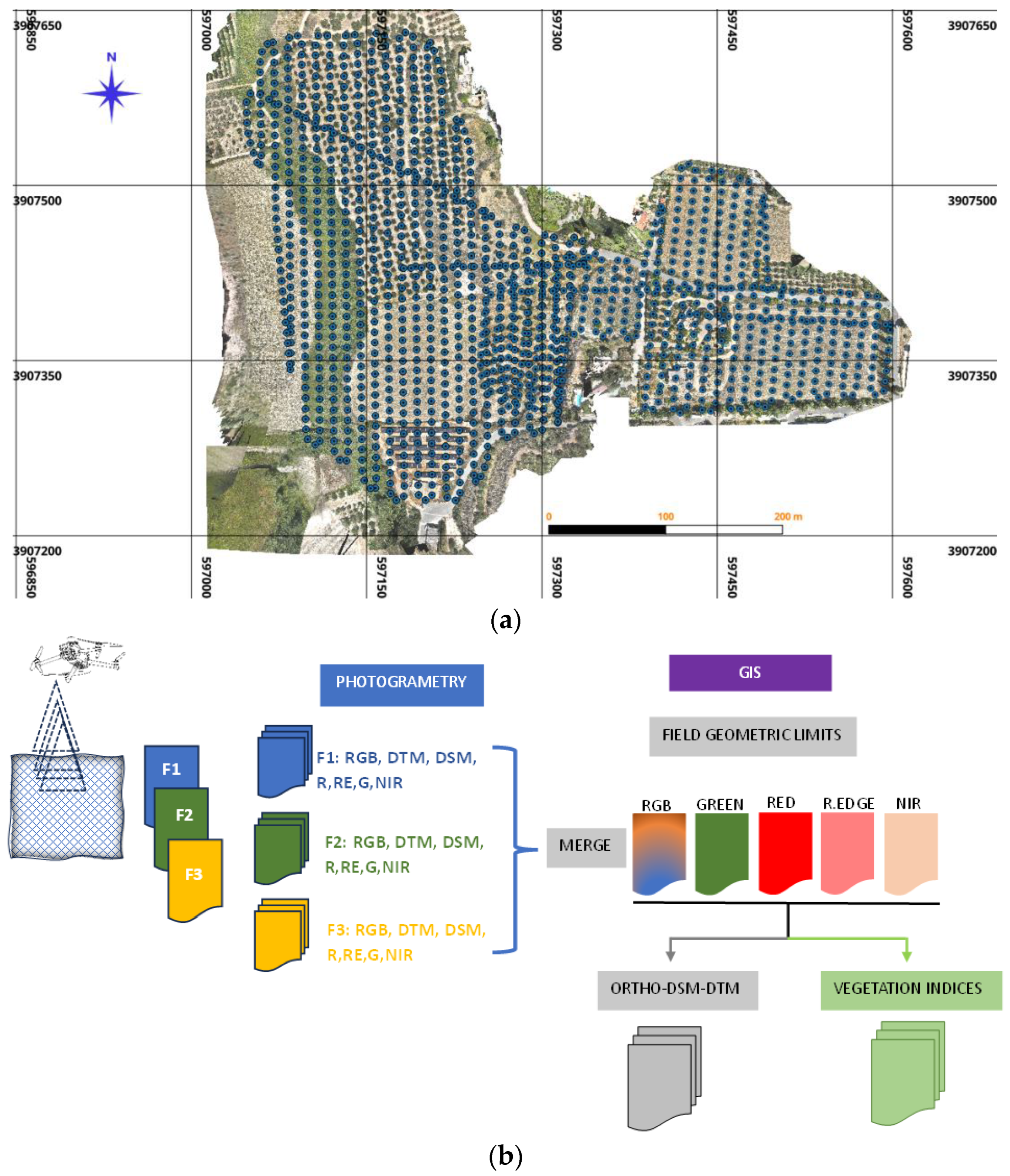 Preprints 115275 g003