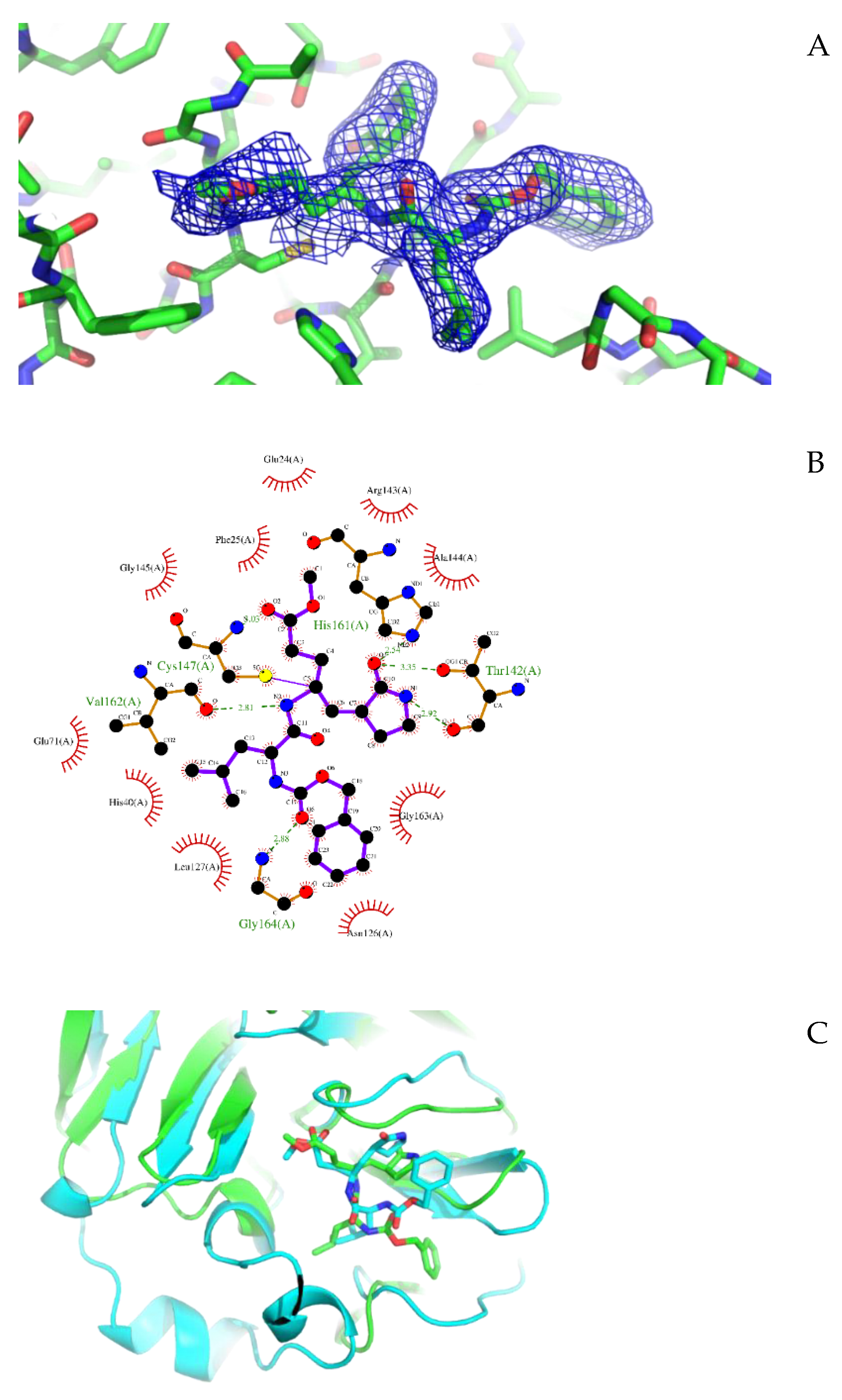 Preprints 112474 g001