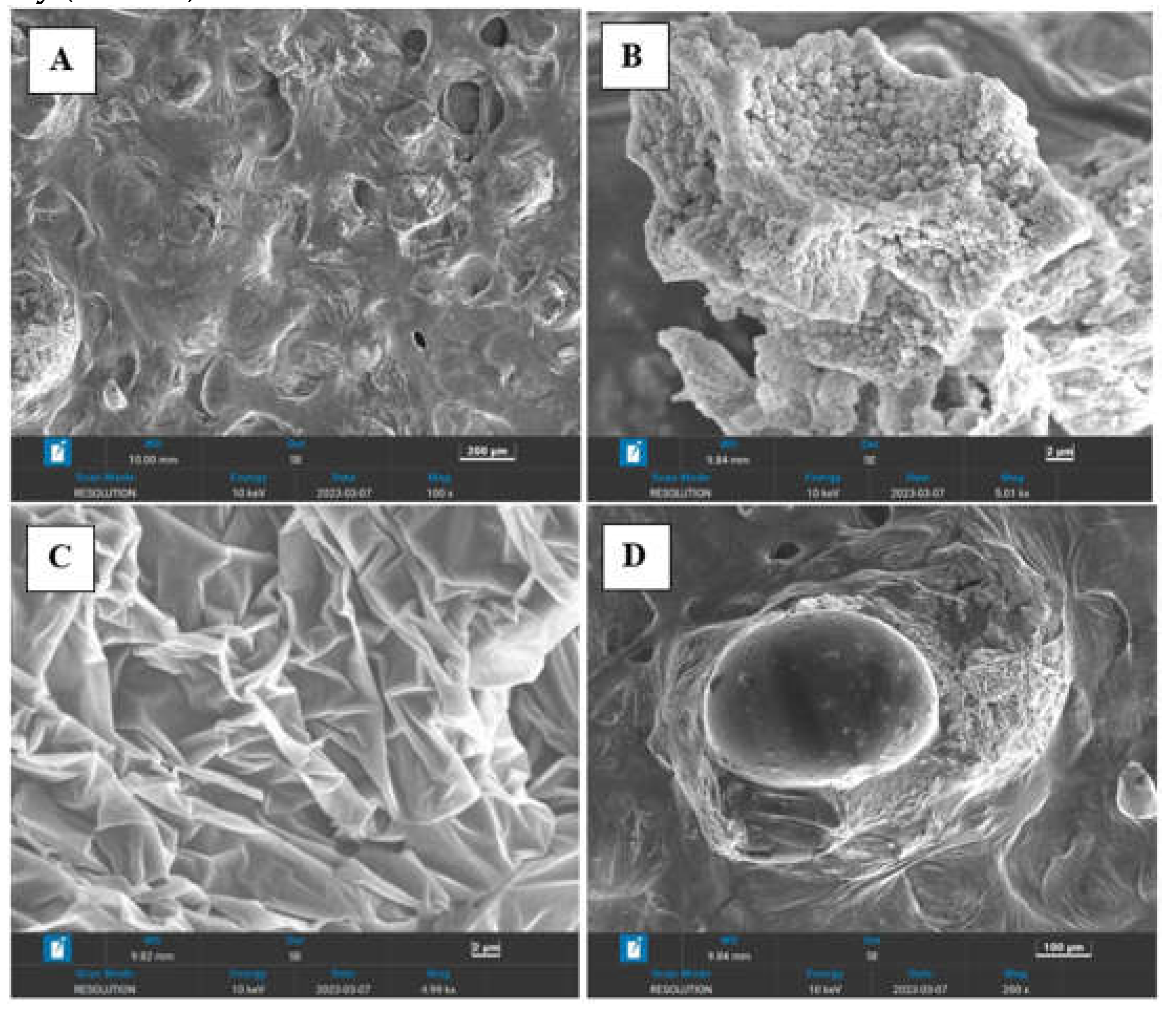 Preprints 71488 g003