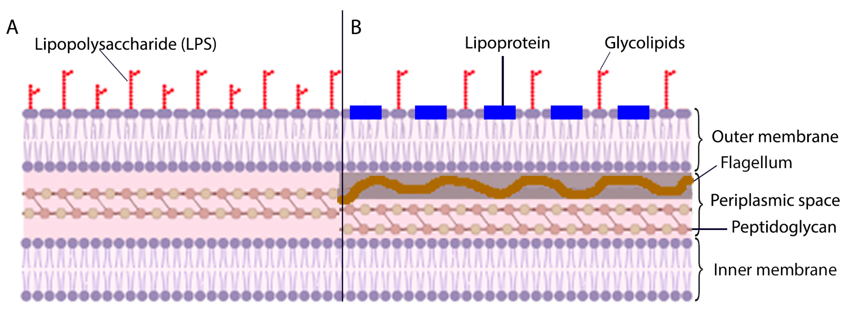 Preprints 103990 g001